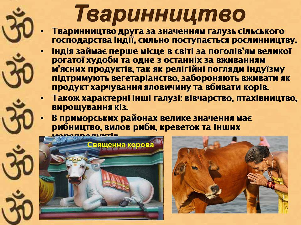 Презентація на тему «Індія» (варіант 27) - Слайд #11 Презентація на тему «Індія» (варіант 27) - Слайд #11