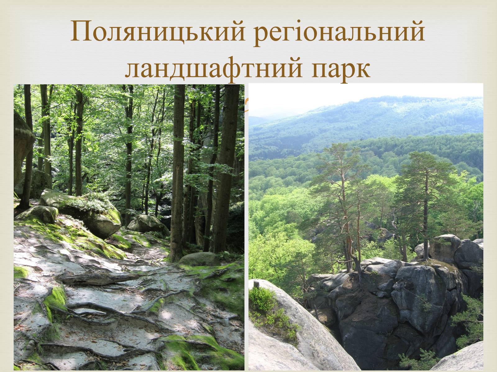 Презентація на тему «Ландшафтні парки України» (варіант 2) - Слайд #12 Презентація на тему «Ландшафтні парки України» (варіант 2) - Слайд #12
