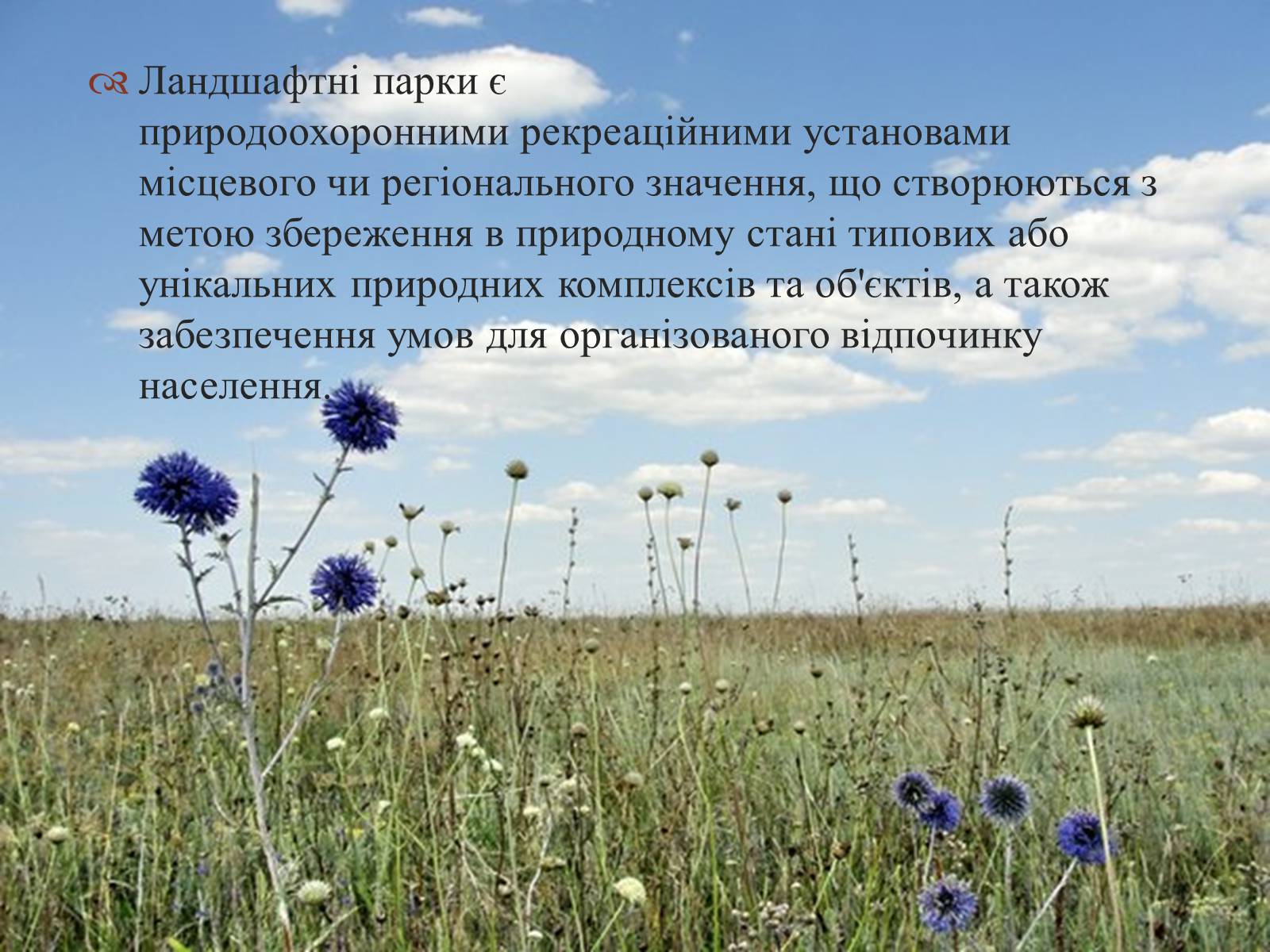 Презентація на тему «Ландшафтні парки України» (варіант 2) - Слайд #2 Презентація на тему «Ландшафтні парки України» (варіант 2) - Слайд #2