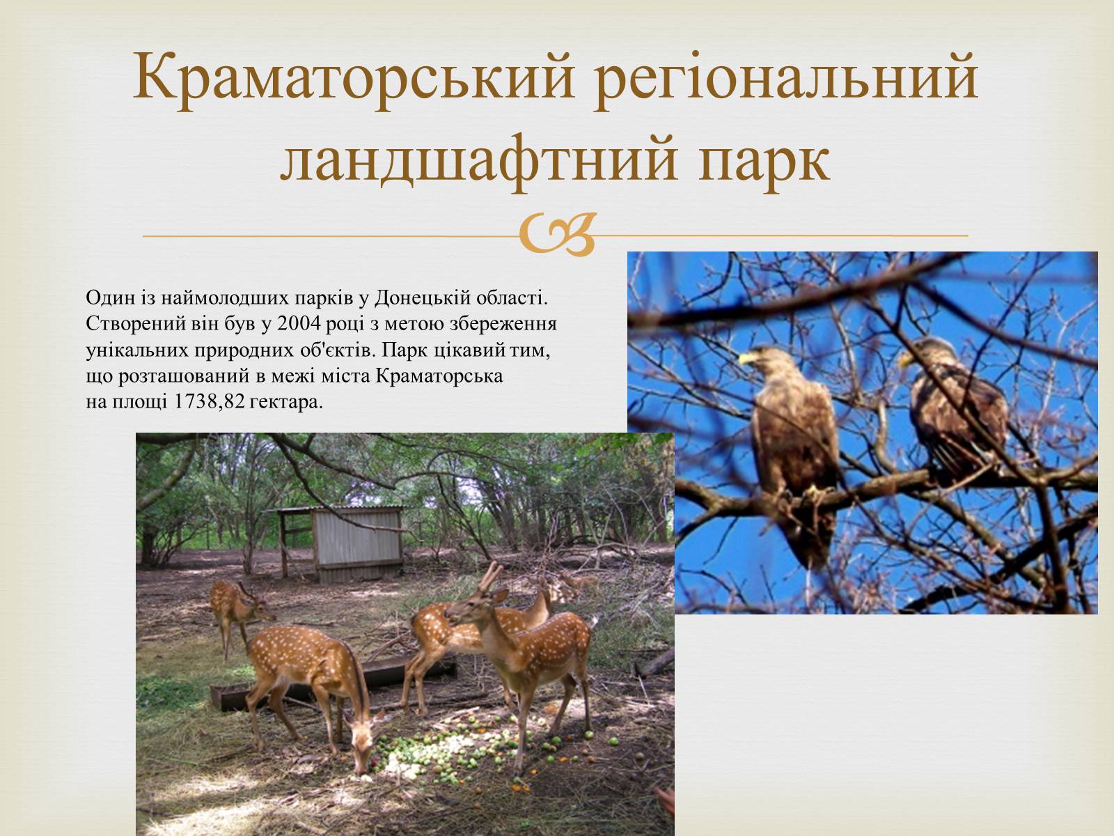 Презентація на тему «Ландшафтні парки України» (варіант 2) - Слайд #8 Презентація на тему «Ландшафтні парки України» (варіант 2) - Слайд #8