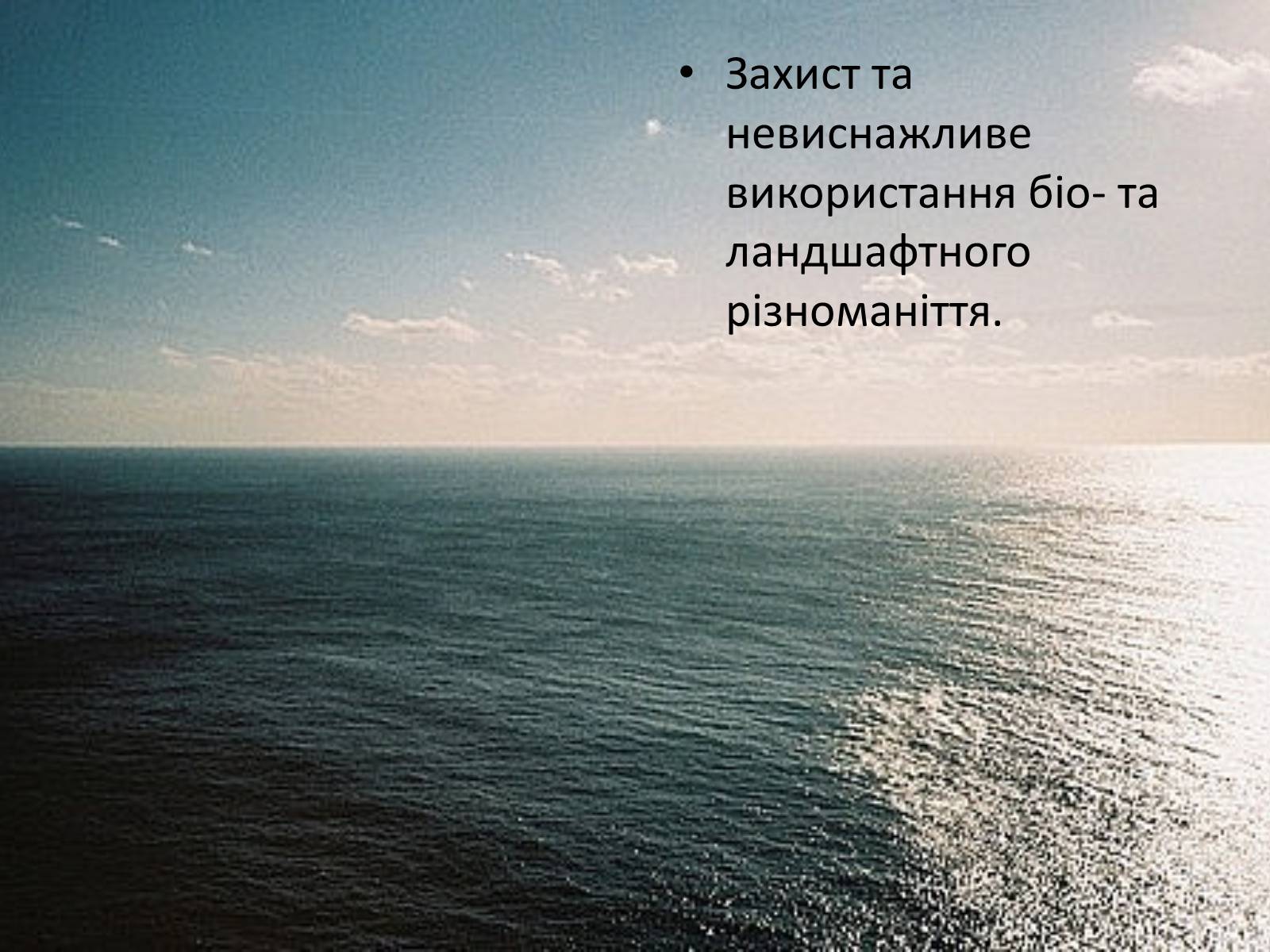 Презентація на тему «Проект збереження чорного і азовського морів» (варіант 1) - Слайд #16 Презентація на тему «Проект збереження чорного і азовського морів» (варіант 1) - Слайд #16