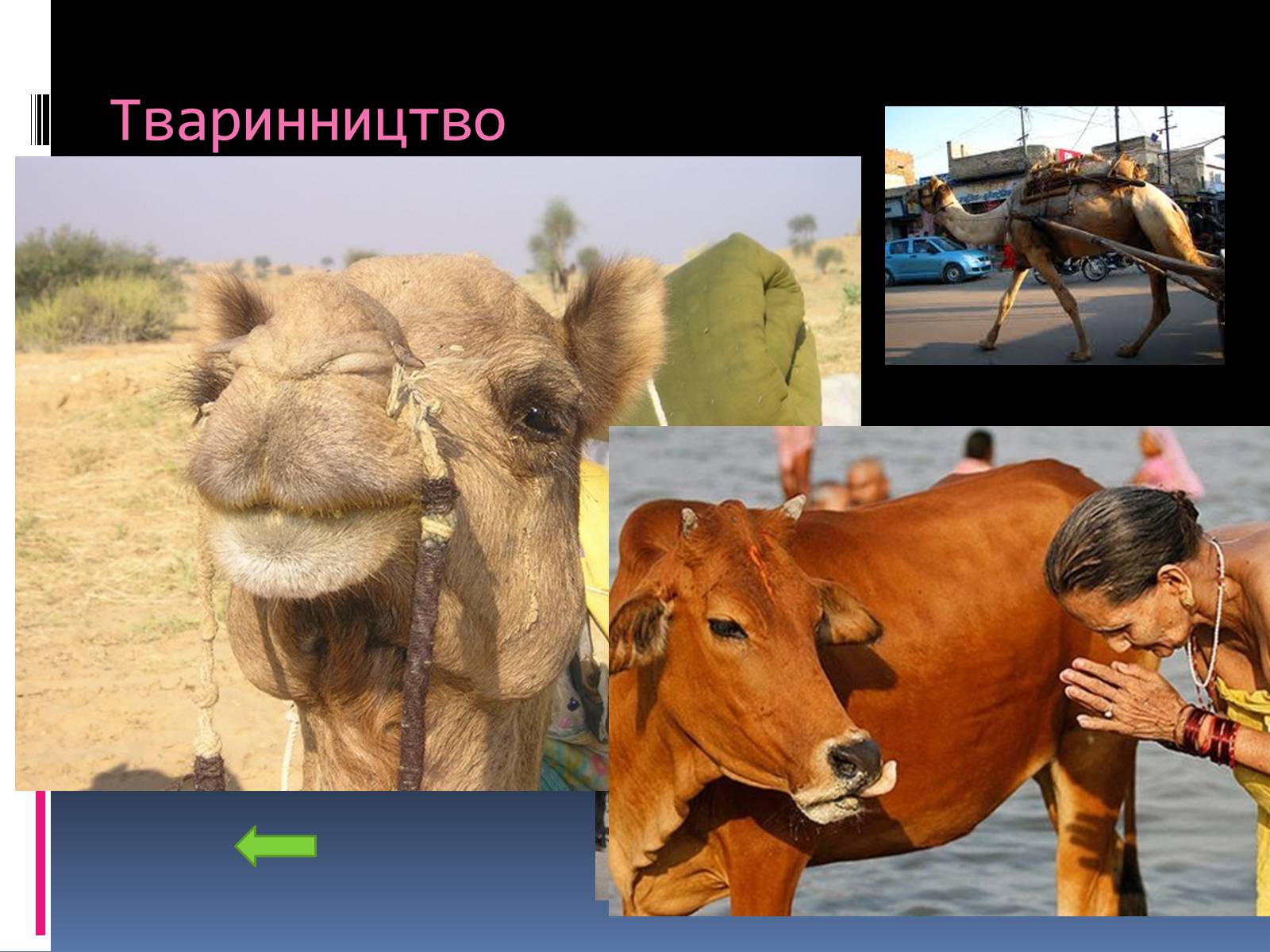 Презентація на тему «Індія» (варіант 20) - Слайд #23 Презентація на тему «Індія» (варіант 20) - Слайд #23