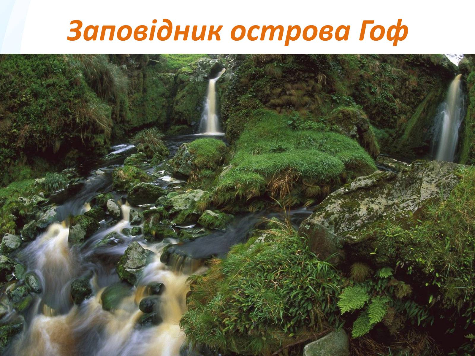 Презентація на тему «Заповідники та національні парки Великобританії» - Слайд #8 Презентація на тему «Заповідники та національні парки Великобританії» - Слайд #8