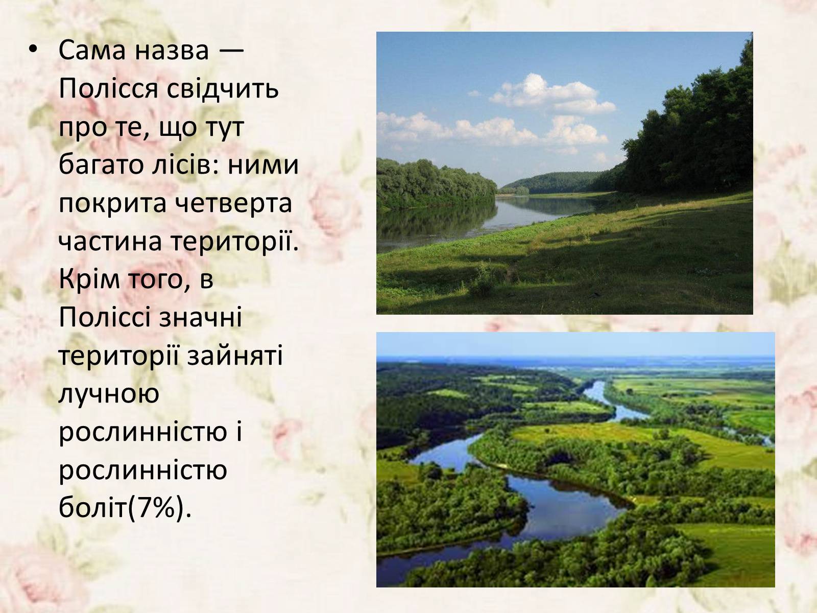 Презентація на тему «Дари Українського Полісся» - Слайд #3 Презентація на тему «Дари Українського Полісся» - Слайд #3