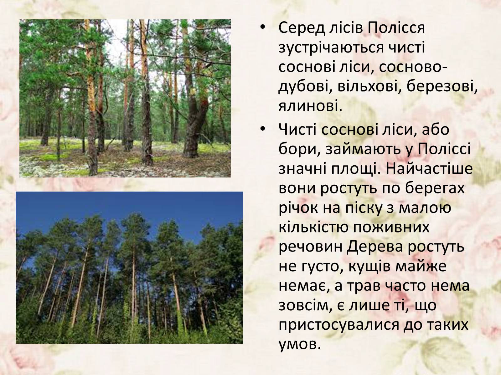Презентація на тему «Дари Українського Полісся» - Слайд #4 Презентація на тему «Дари Українського Полісся» - Слайд #4
