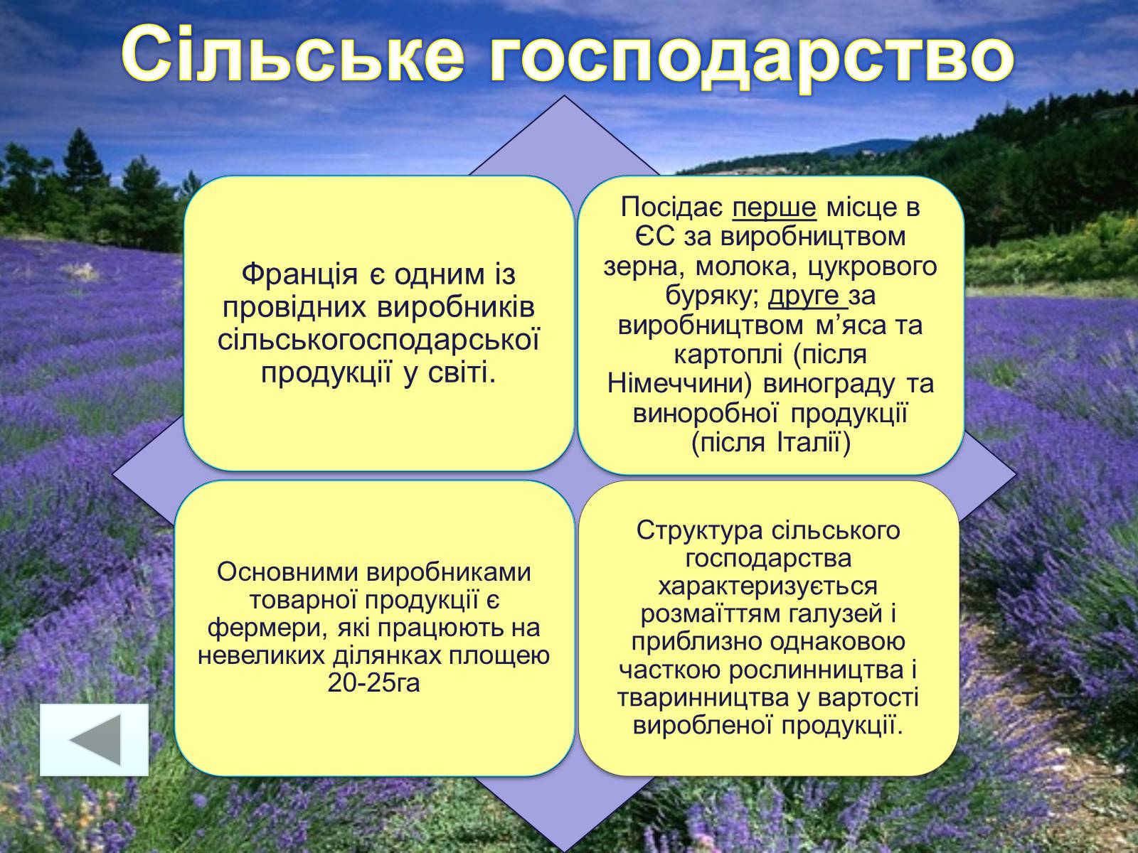 Презентація на тему «Франція» (варіант 31) - Слайд #54 Презентація на тему «Франція» (варіант 31) - Слайд #54