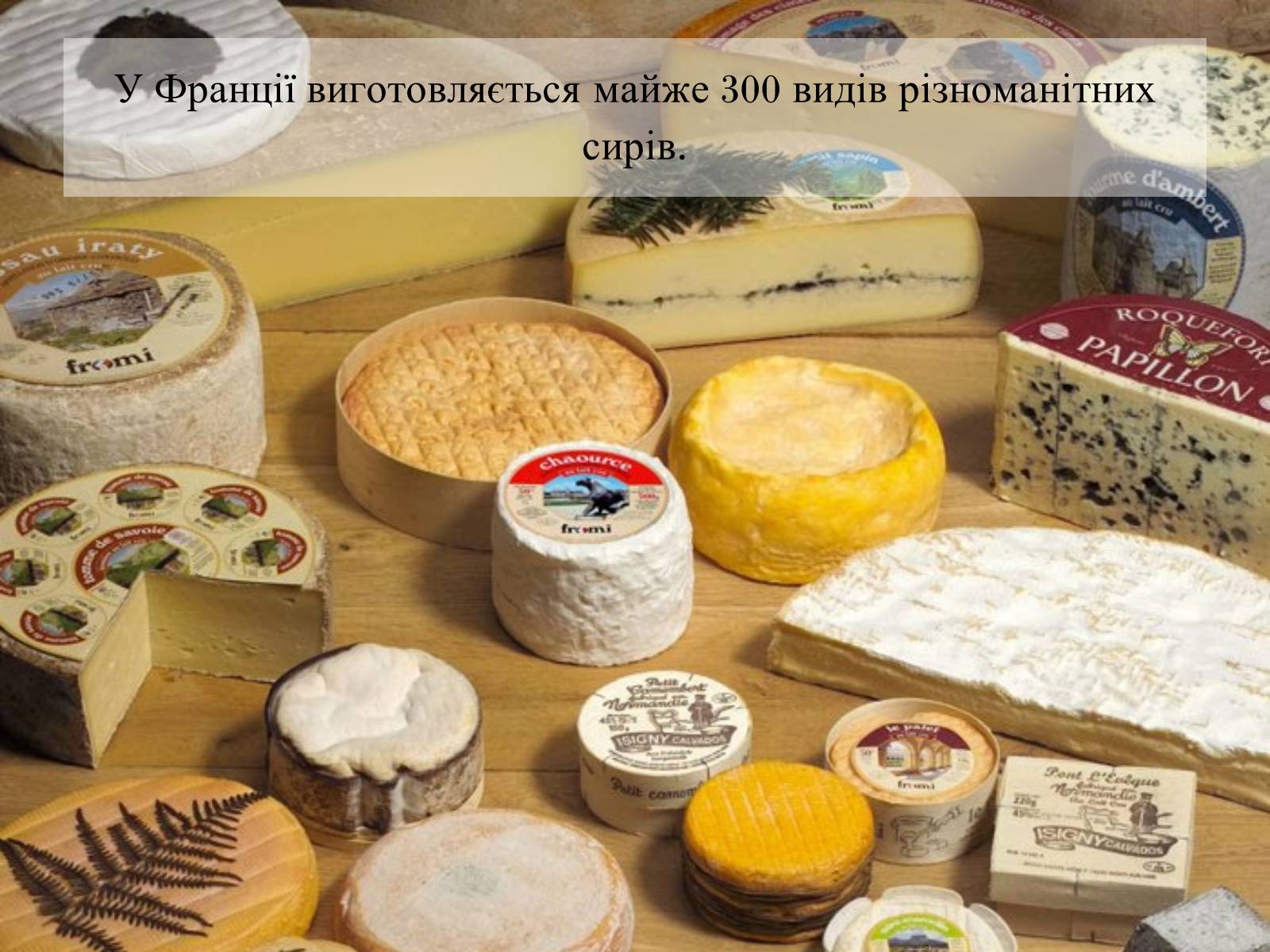 Презентація на тему «Франція» (варіант 31) - Слайд #72 Презентація на тему «Франція» (варіант 31) - Слайд #72