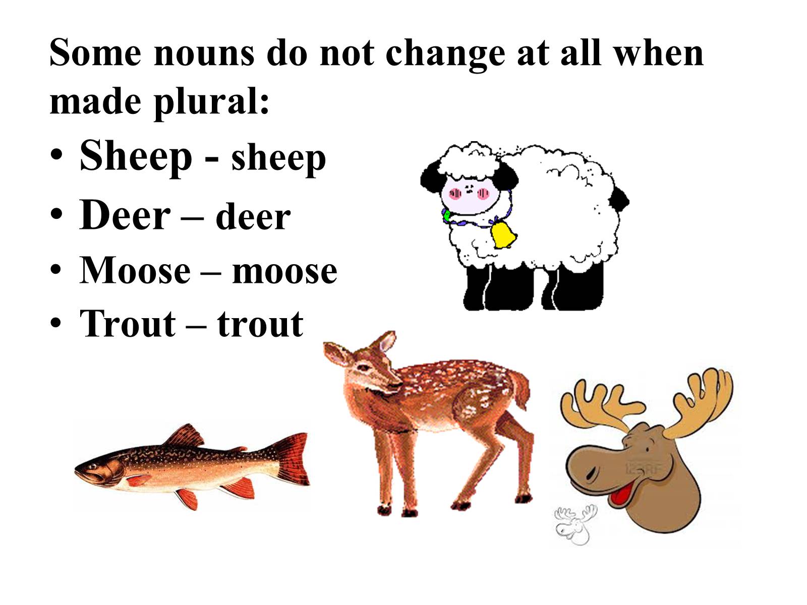 Презентація на тему «Nouns in English» - Слайд #13 Презентація на тему «Nouns in English» - Слайд #13