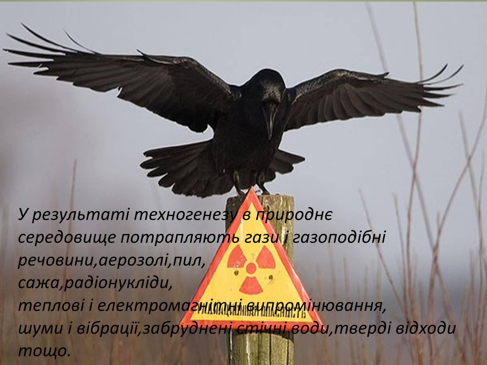 Презентація на тему «Основні антропогенні джерела забруднення» - Слайд #4 Презентація на тему «Основні антропогенні джерела забруднення» - Слайд #4