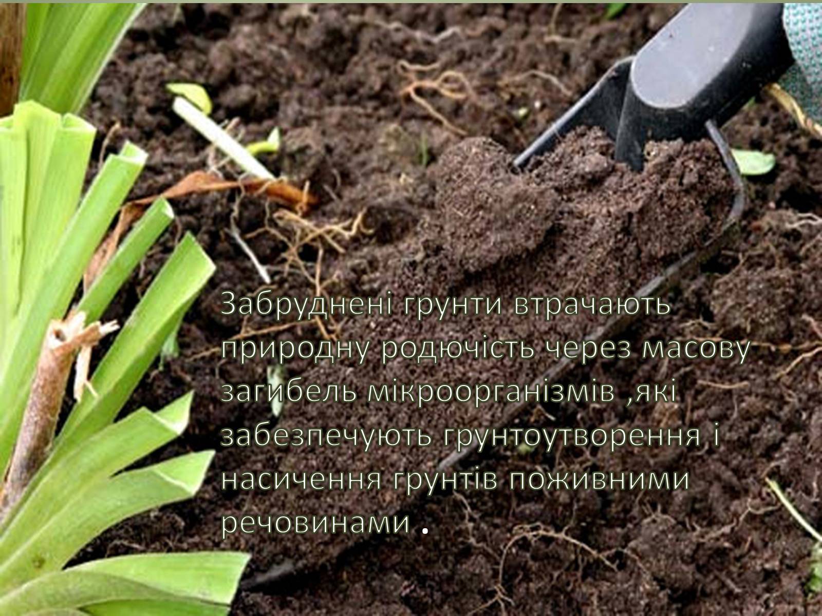 Презентація на тему «Основні антропогенні джерела забруднення» - Слайд #8 Презентація на тему «Основні антропогенні джерела забруднення» - Слайд #8