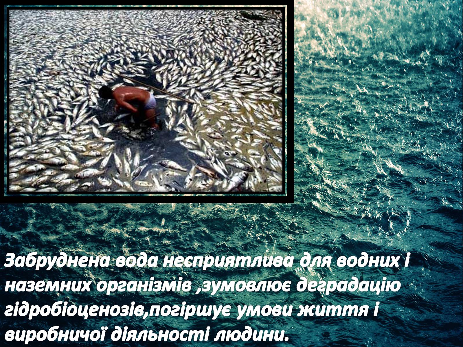 Презентація на тему «Основні антропогенні джерела забруднення» - Слайд #9 Презентація на тему «Основні антропогенні джерела забруднення» - Слайд #9