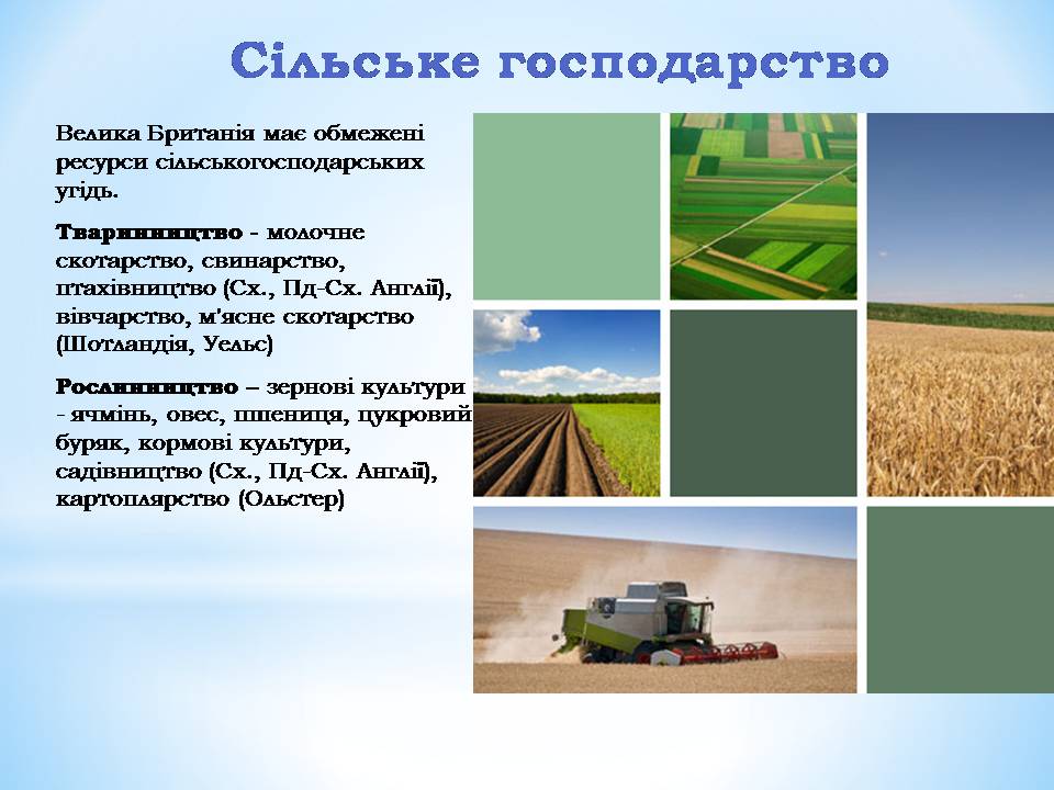 Презентація на тему «Великобританія» (варіант 8) - Слайд #13 Презентація на тему «Великобританія» (варіант 8) - Слайд #13
