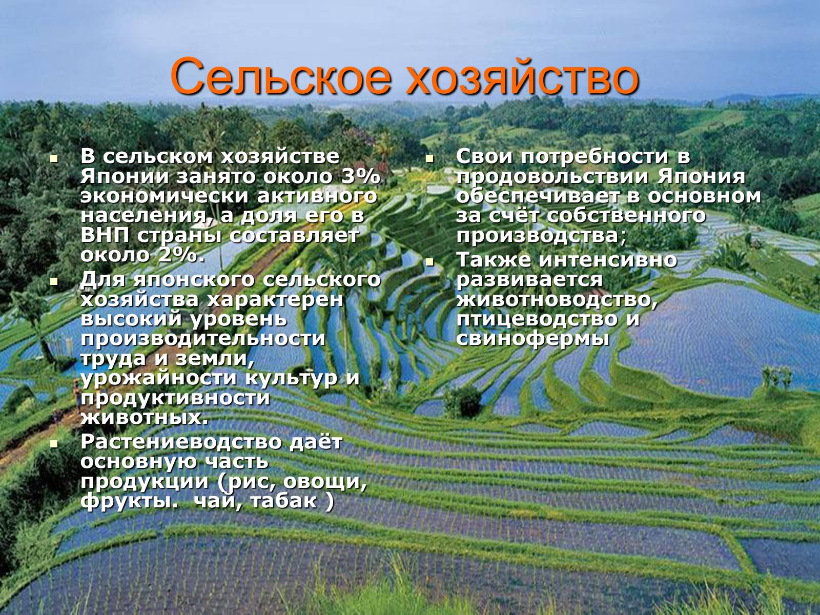 Презентація на тему «Японія» (варіант 14) - Слайд #13 Презентація на тему «Японія» (варіант 14) - Слайд #13