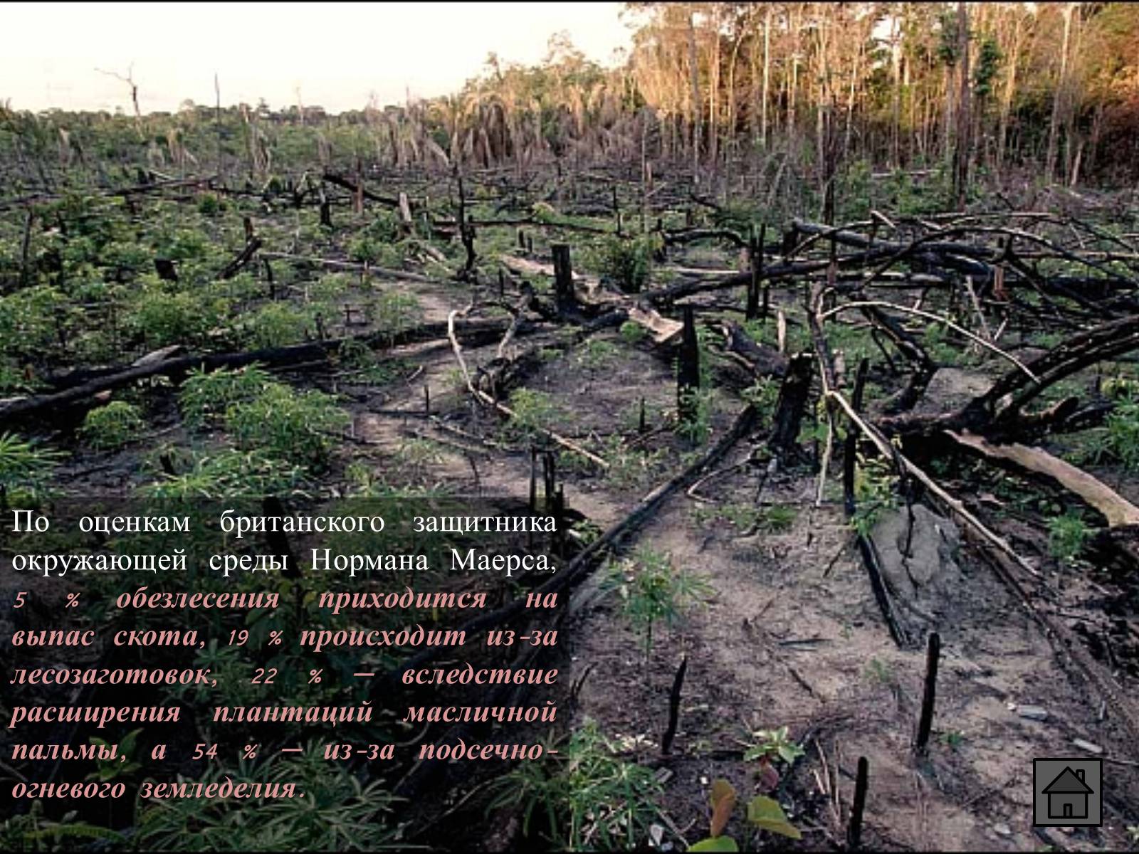 Презентація на тему «Глобальные экологические проблемы» (варіант 1) - Слайд #61
