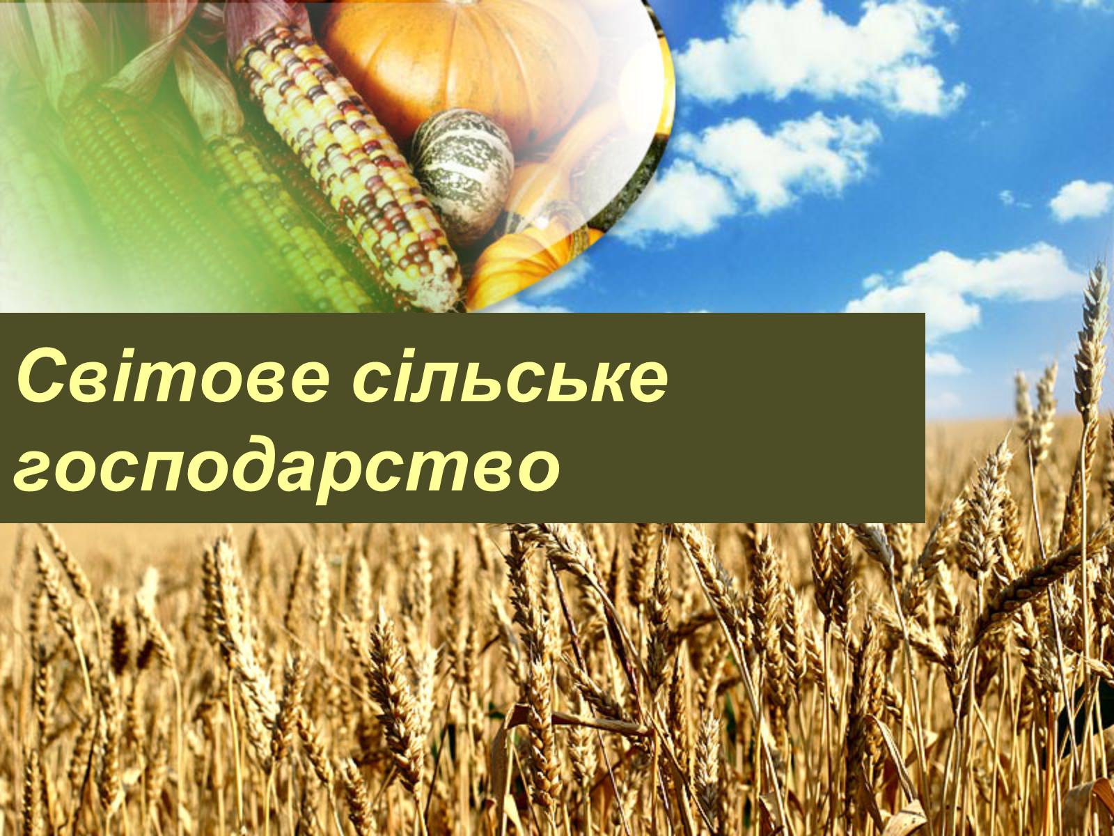 Презентація на тему «Світове сільське господарство» - Слайд #1 Презентація на тему «Світове сільське господарство» - Слайд #1