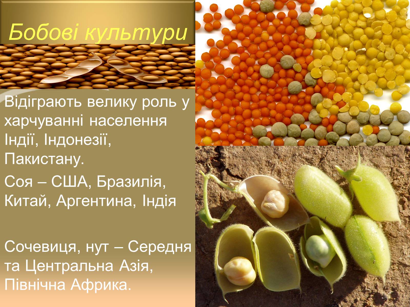 Презентація на тему «Світове сільське господарство» - Слайд #10 Презентація на тему «Світове сільське господарство» - Слайд #10