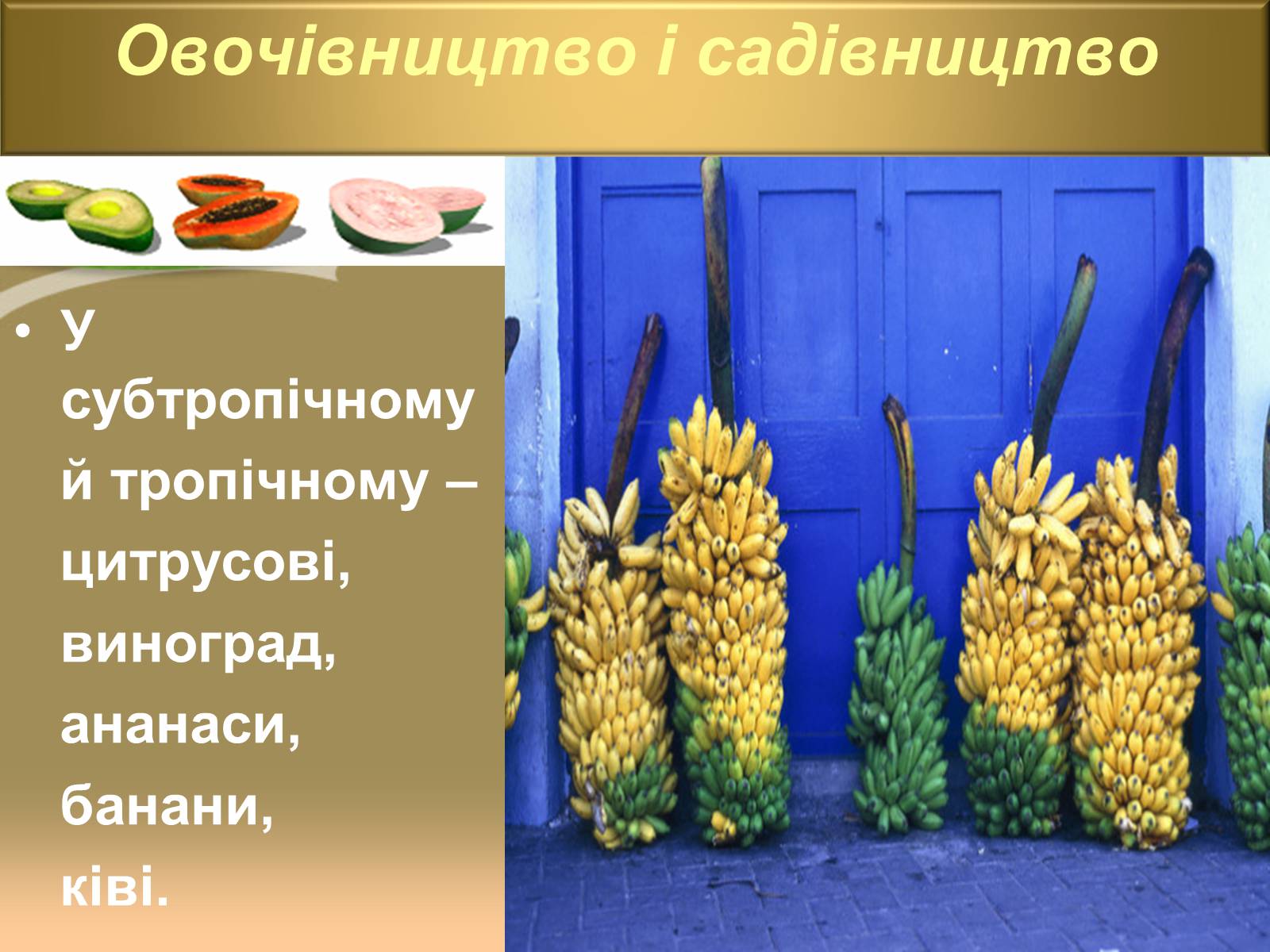 Презентація на тему «Світове сільське господарство» - Слайд #21 Презентація на тему «Світове сільське господарство» - Слайд #21