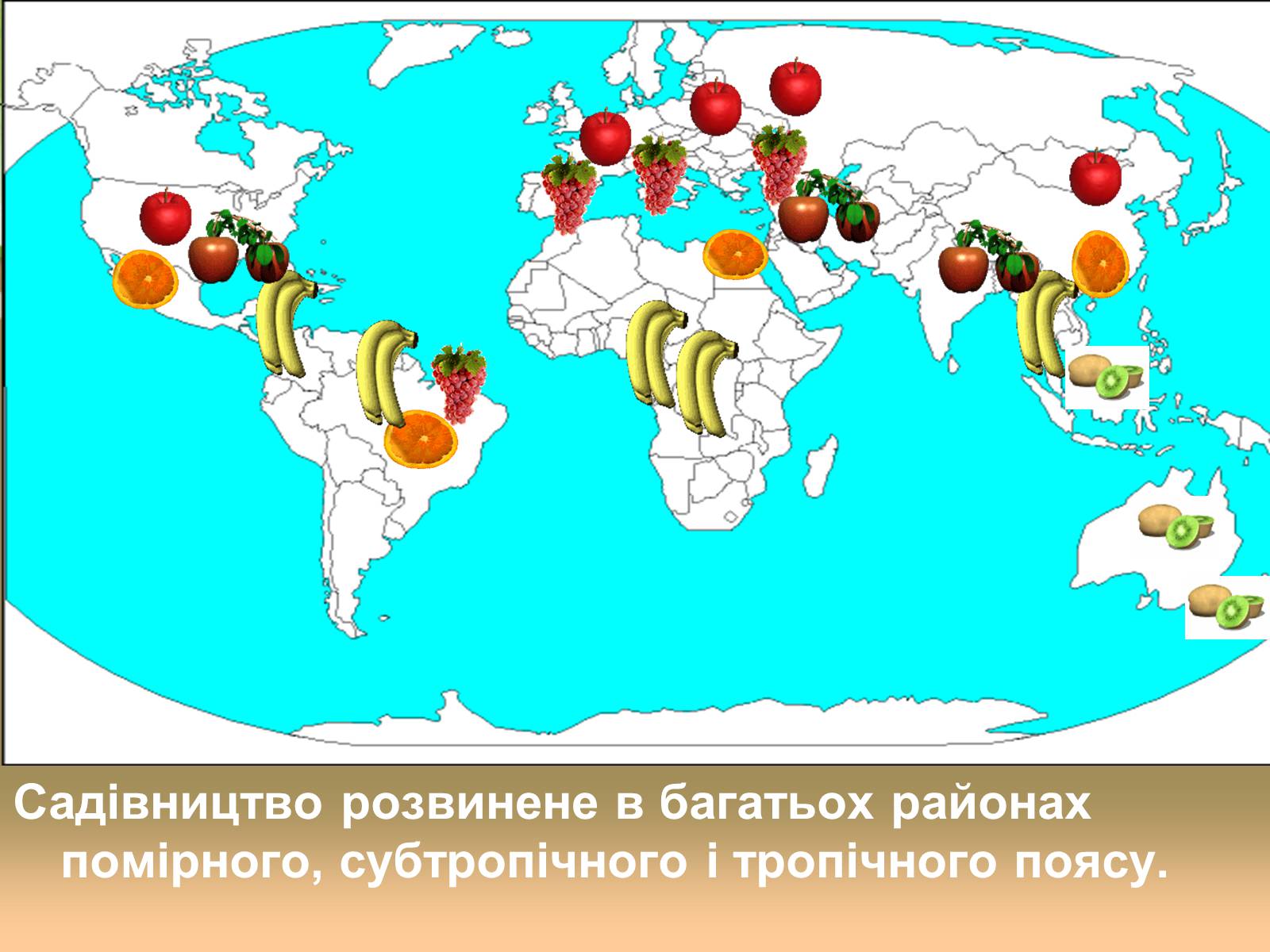 Презентація на тему «Світове сільське господарство» - Слайд #23 Презентація на тему «Світове сільське господарство» - Слайд #23