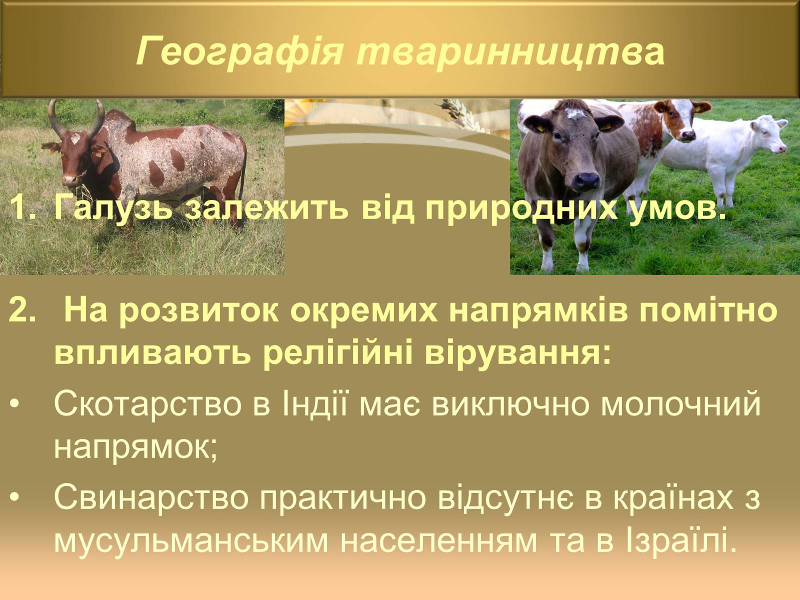 Презентація на тему «Світове сільське господарство» - Слайд #24 Презентація на тему «Світове сільське господарство» - Слайд #24