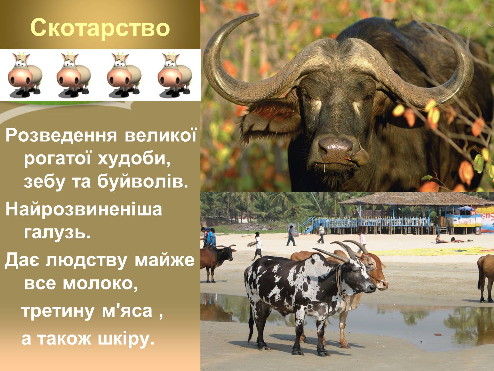 Презентація на тему «Світове сільське господарство» - Слайд #25 Презентація на тему «Світове сільське господарство» - Слайд #25