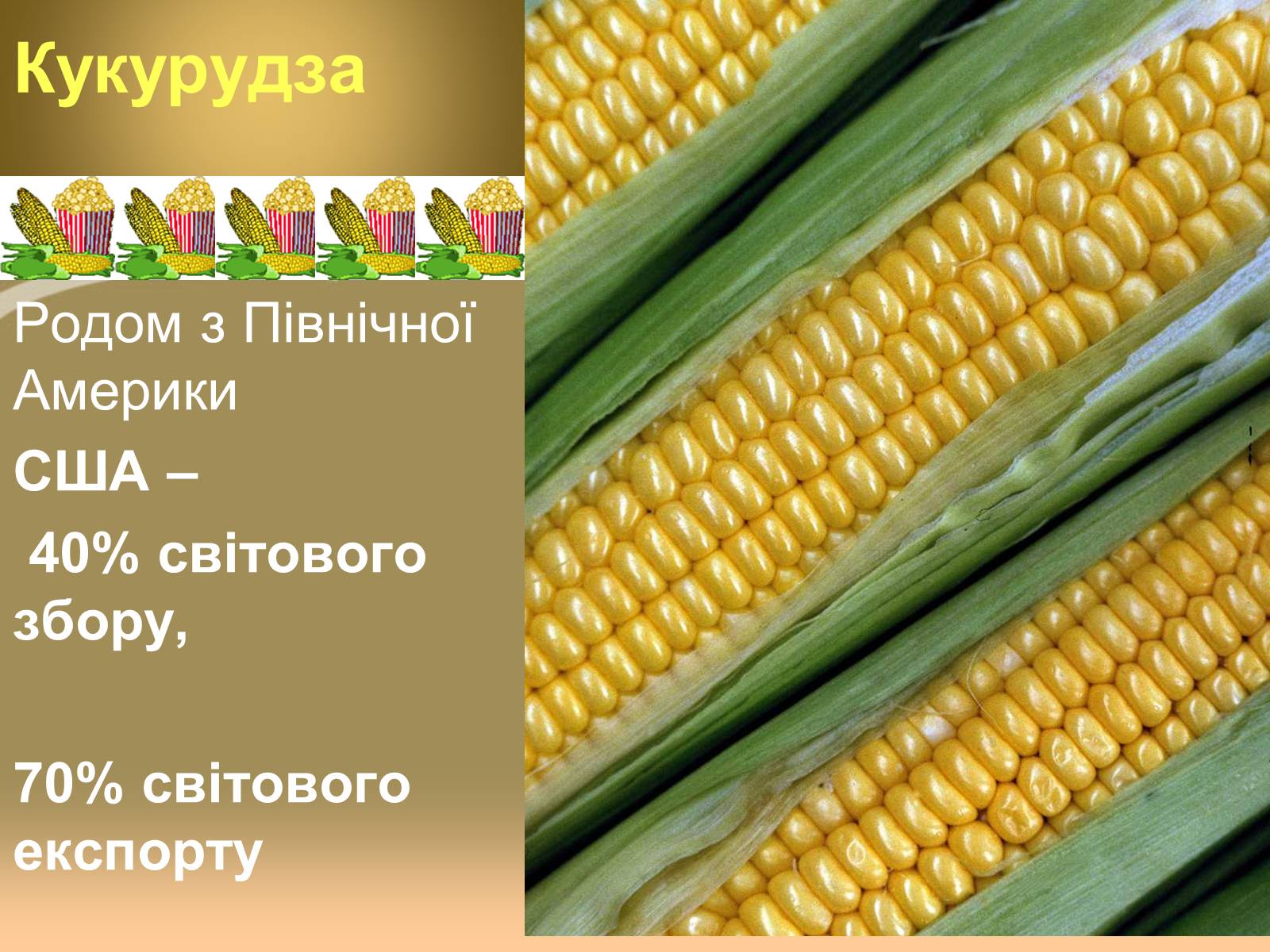 Презентація на тему «Світове сільське господарство» - Слайд #9 Презентація на тему «Світове сільське господарство» - Слайд #9