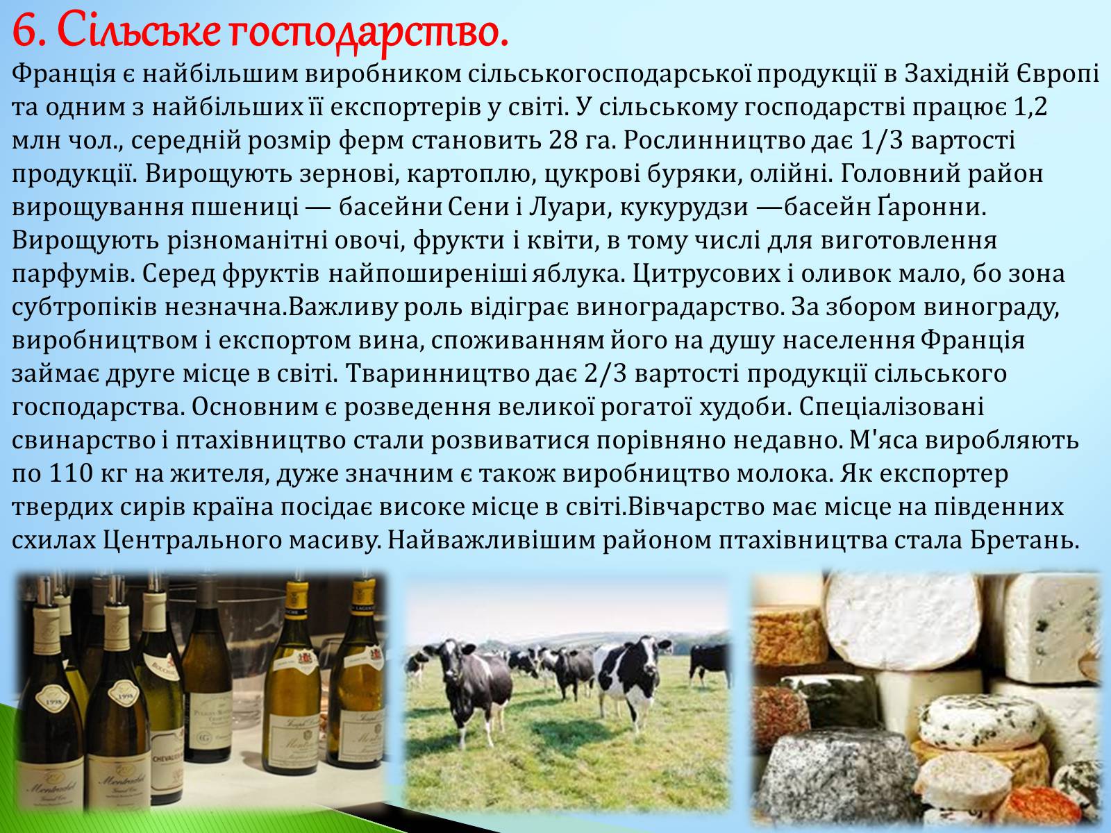 Презентація на тему «Франція» (варіант 14) - Слайд #7 Презентація на тему «Франція» (варіант 14) - Слайд #7