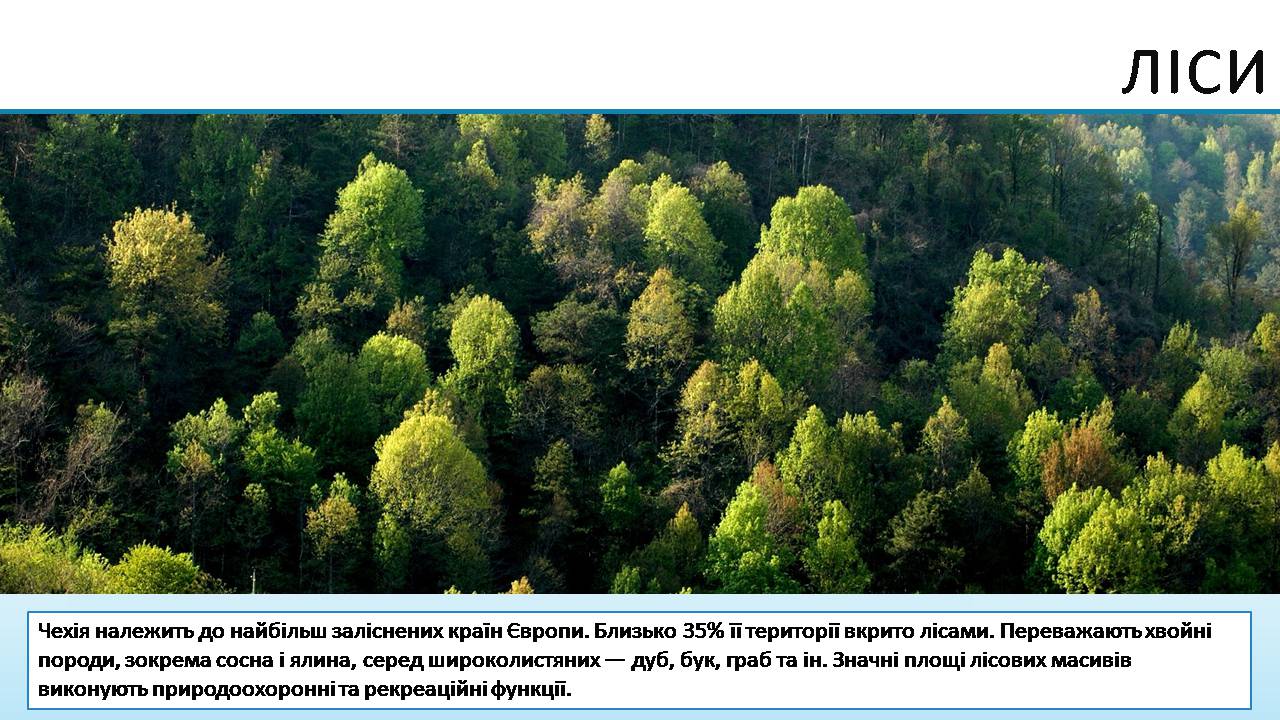 Презентація на тему «Чеська республіка» (варіант 3) - Слайд #10 Презентація на тему «Чеська республіка» (варіант 3) - Слайд #10