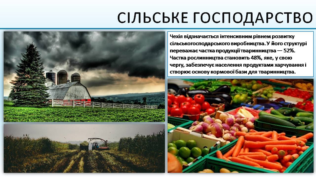 Презентація на тему «Чеська республіка» (варіант 3) - Слайд #16 Презентація на тему «Чеська республіка» (варіант 3) - Слайд #16