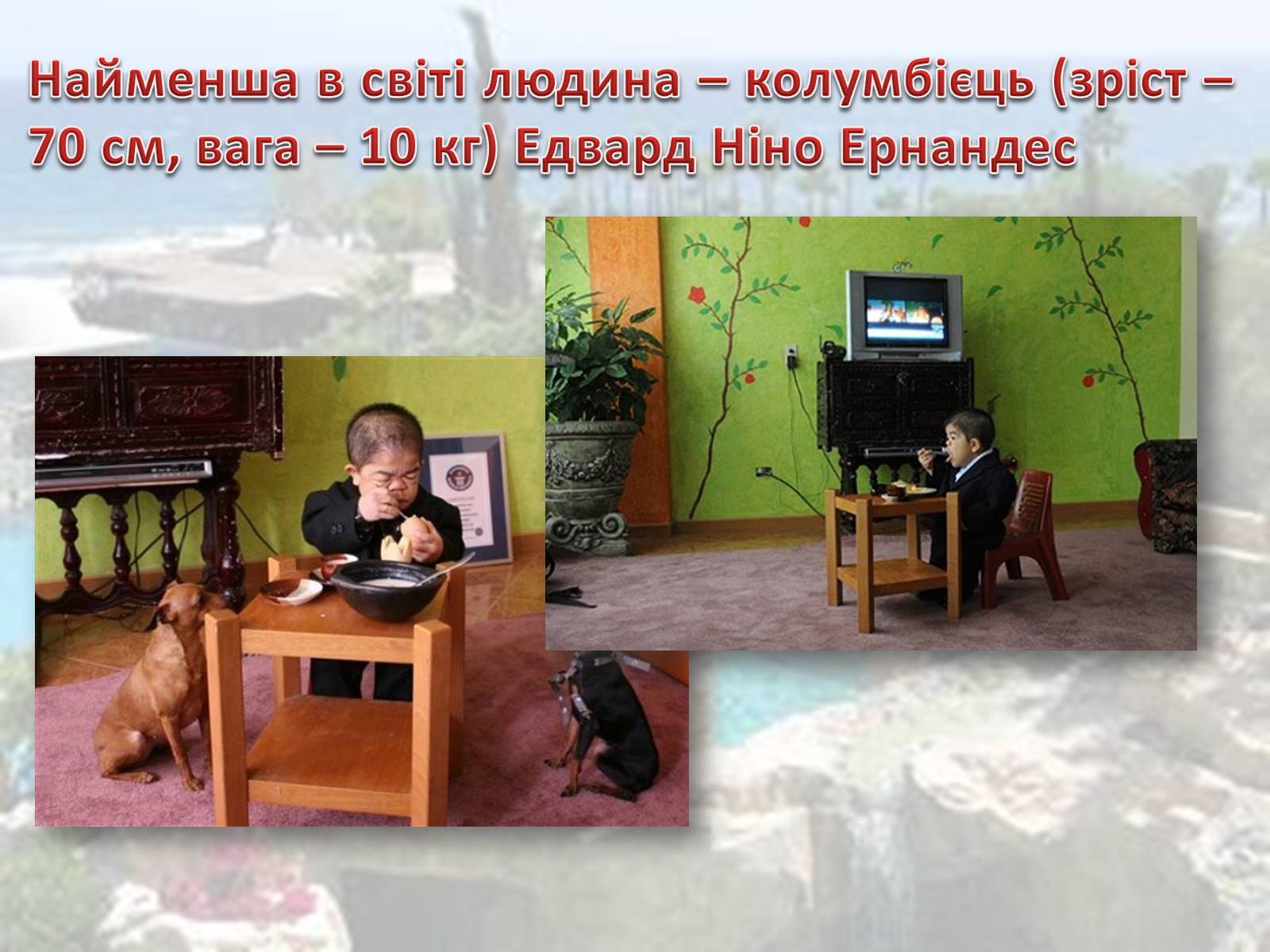 Презентація на тему «Колумбія» (варіант 1) - Слайд #10 Презентація на тему «Колумбія» (варіант 1) - Слайд #10
