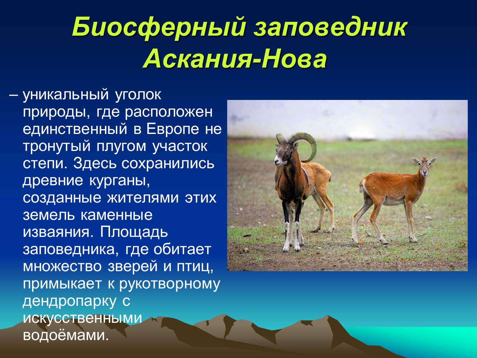 Презентація на тему «Заповедники Украины» (варіант 1) - Слайд #10 Презентація на тему «Заповедники Украины» (варіант 1) - Слайд #10