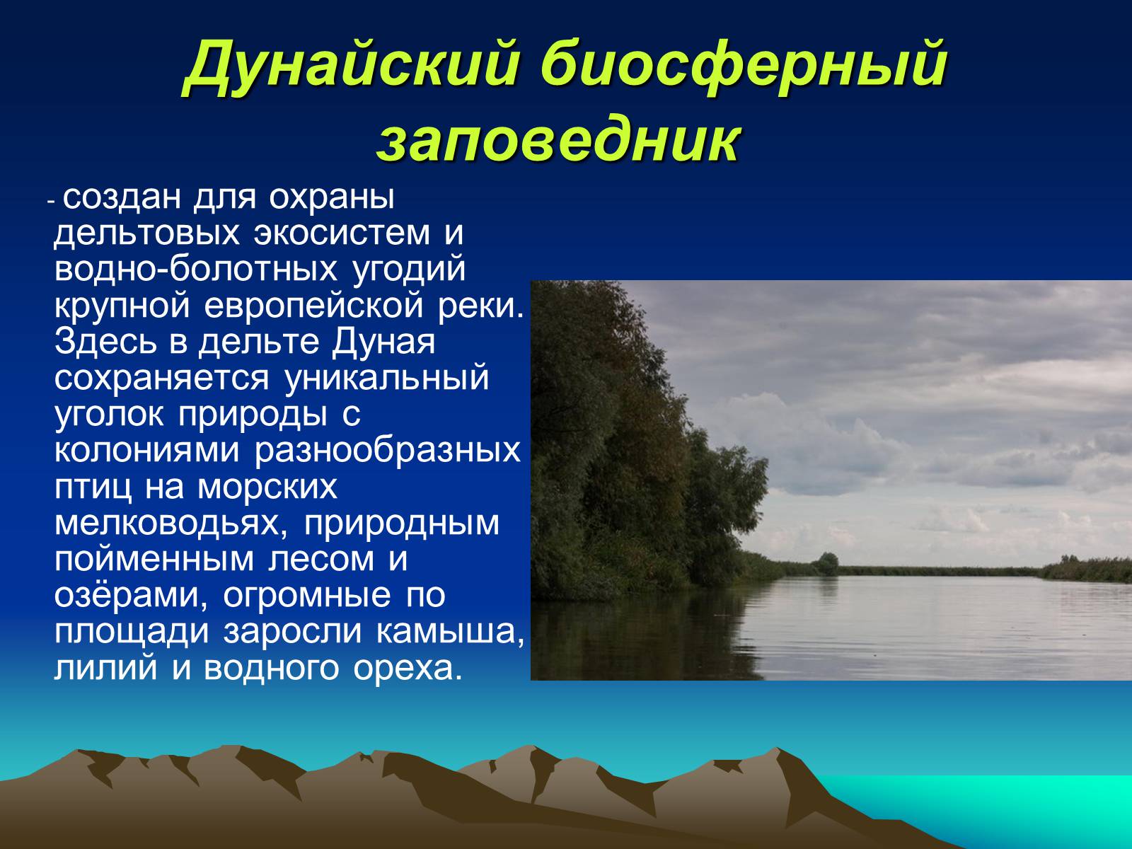 Презентація на тему «Заповедники Украины» (варіант 1) - Слайд #11 Презентація на тему «Заповедники Украины» (варіант 1) - Слайд #11
