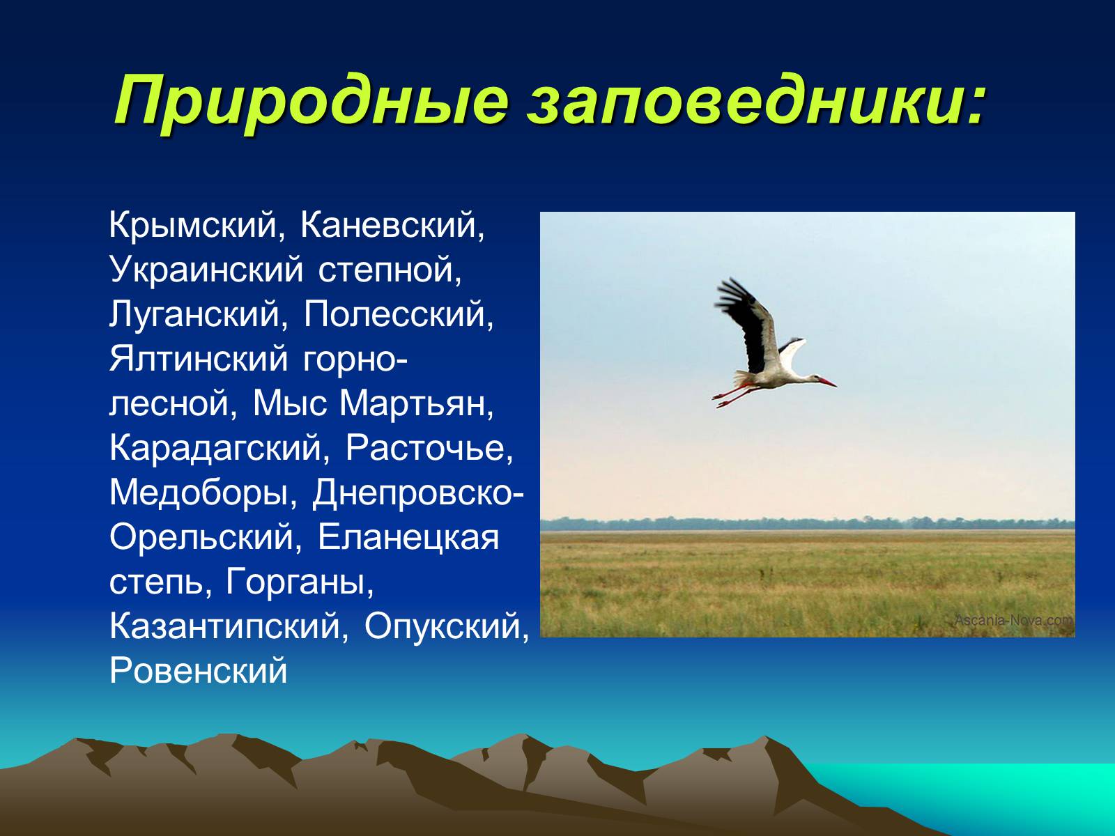 Презентація на тему «Заповедники Украины» (варіант 1) - Слайд #7 Презентація на тему «Заповедники Украины» (варіант 1) - Слайд #7