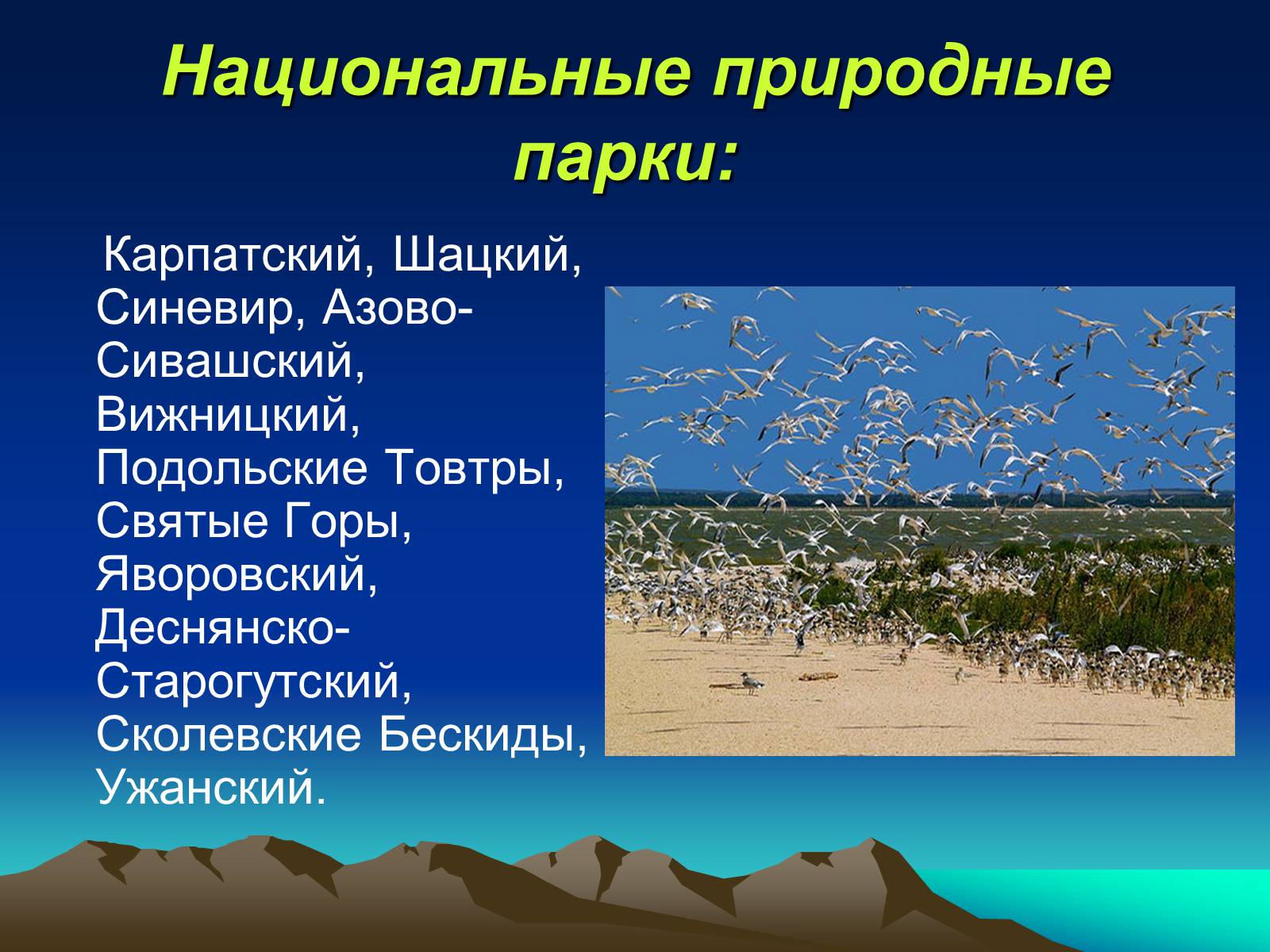 Презентація на тему «Заповедники Украины» (варіант 1) - Слайд #8 Презентація на тему «Заповедники Украины» (варіант 1) - Слайд #8