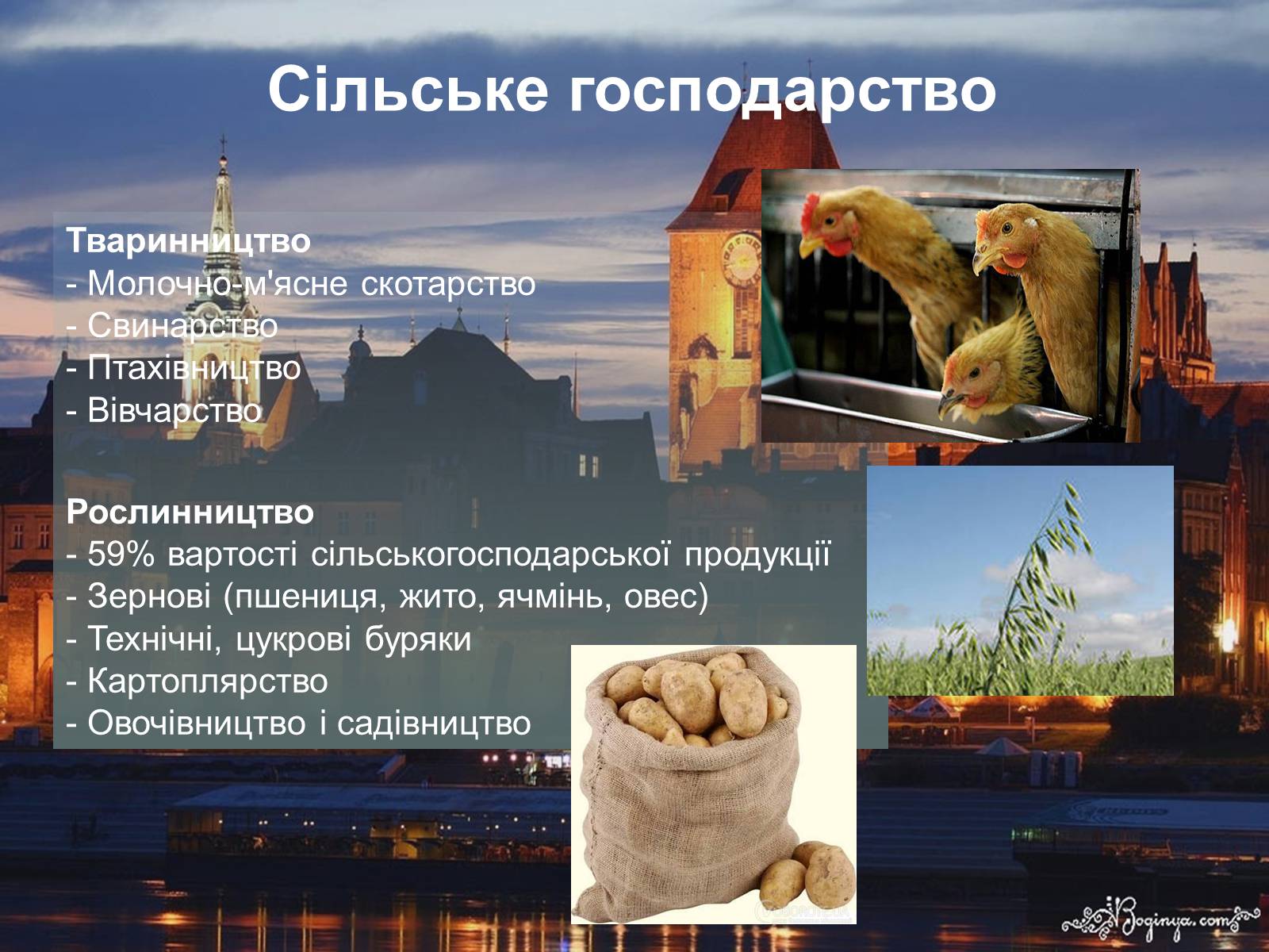 Презентація на тему «Польща» (варіант 11) - Слайд #9 Презентація на тему «Польща» (варіант 11) - Слайд #9