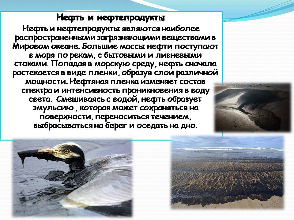 Презентація на тему «Влияние человека на загрязнение мирового океана» - Слайд #12 Презентація на тему «Влияние человека на загрязнение мирового океана» - Слайд #12