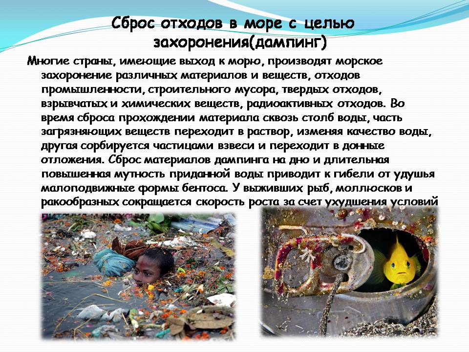Презентація на тему «Влияние человека на загрязнение мирового океана» - Слайд #16 Презентація на тему «Влияние человека на загрязнение мирового океана» - Слайд #16