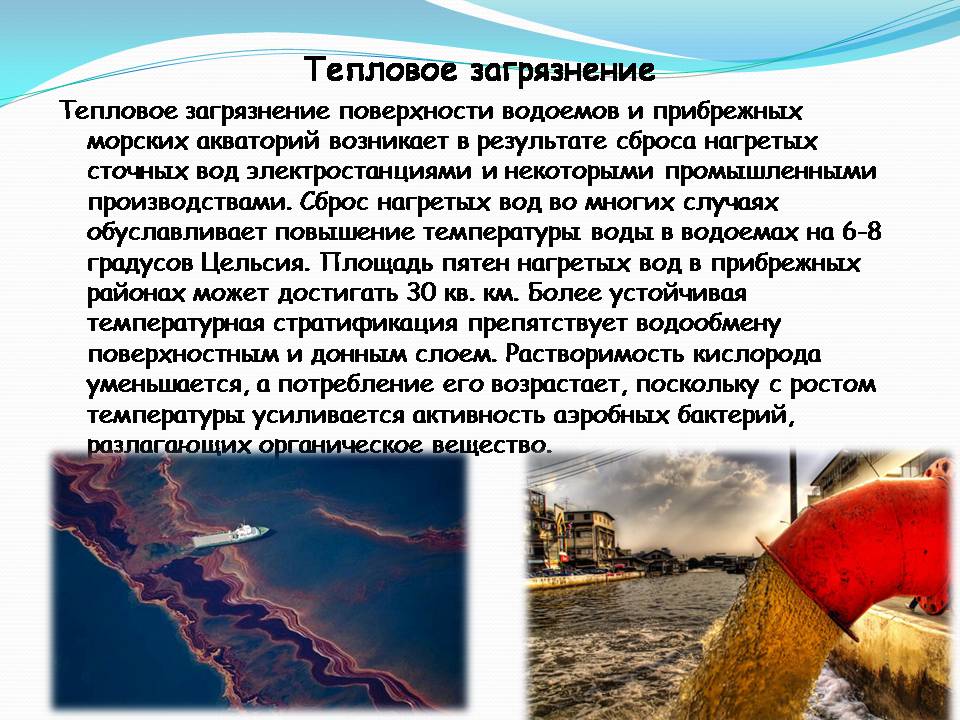 Презентація на тему «Влияние человека на загрязнение мирового океана» - Слайд #17 Презентація на тему «Влияние человека на загрязнение мирового океана» - Слайд #17