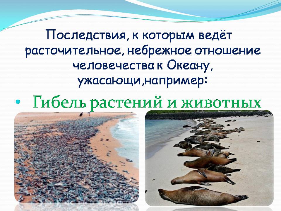 Презентація на тему «Влияние человека на загрязнение мирового океана» - Слайд #19 Презентація на тему «Влияние человека на загрязнение мирового океана» - Слайд #19