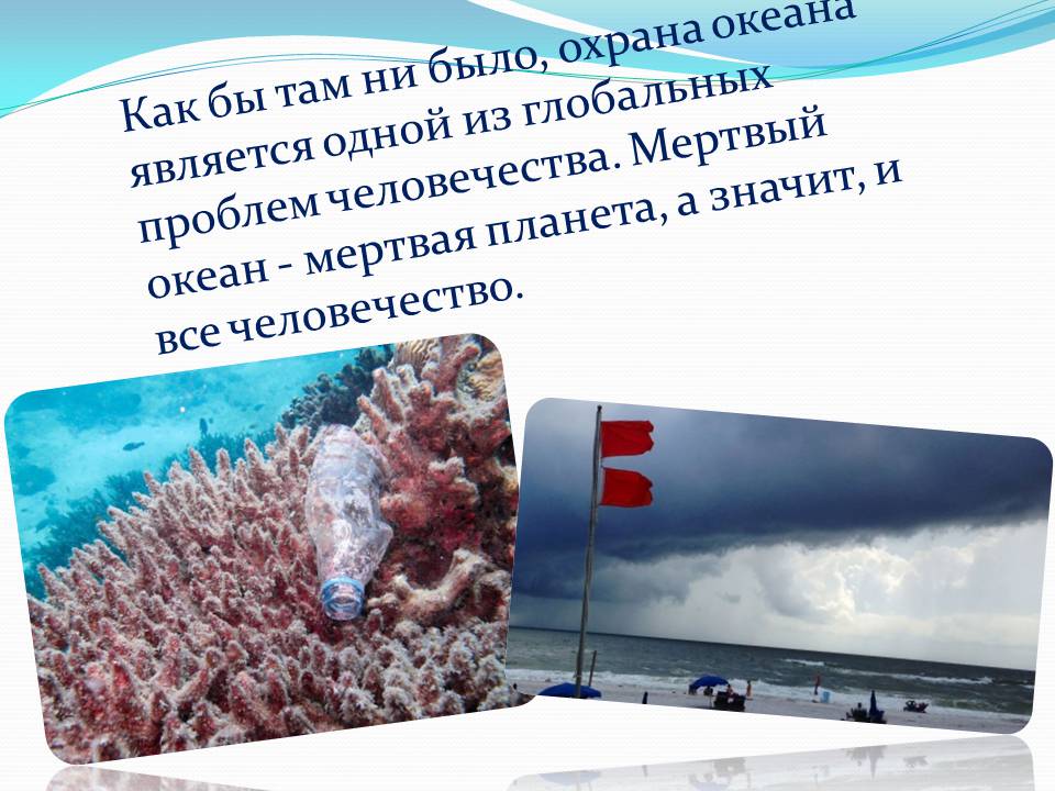 Презентація на тему «Влияние человека на загрязнение мирового океана» - Слайд #21 Презентація на тему «Влияние человека на загрязнение мирового океана» - Слайд #21