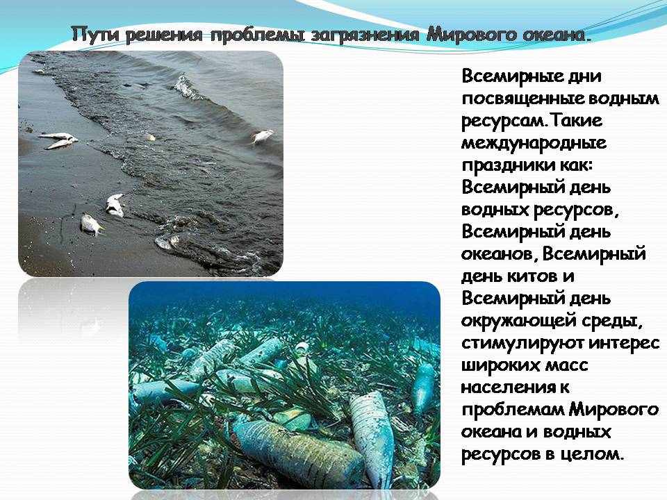 Презентація на тему «Влияние человека на загрязнение мирового океана» - Слайд #24 Презентація на тему «Влияние человека на загрязнение мирового океана» - Слайд #24