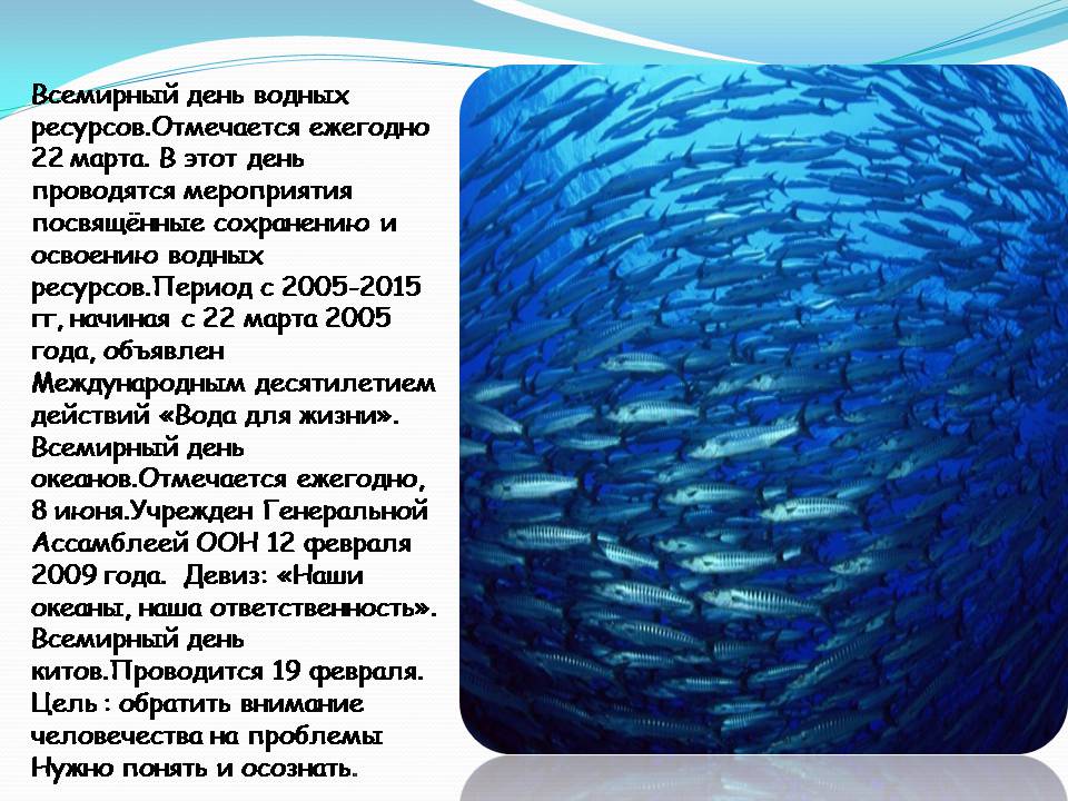 Презентація на тему «Влияние человека на загрязнение мирового океана» - Слайд #25 Презентація на тему «Влияние человека на загрязнение мирового океана» - Слайд #25