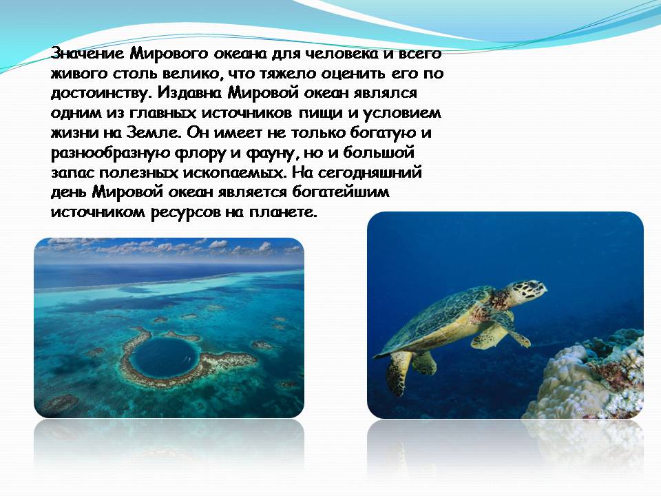 Презентація на тему «Влияние человека на загрязнение мирового океана» - Слайд #3 Презентація на тему «Влияние человека на загрязнение мирового океана» - Слайд #3