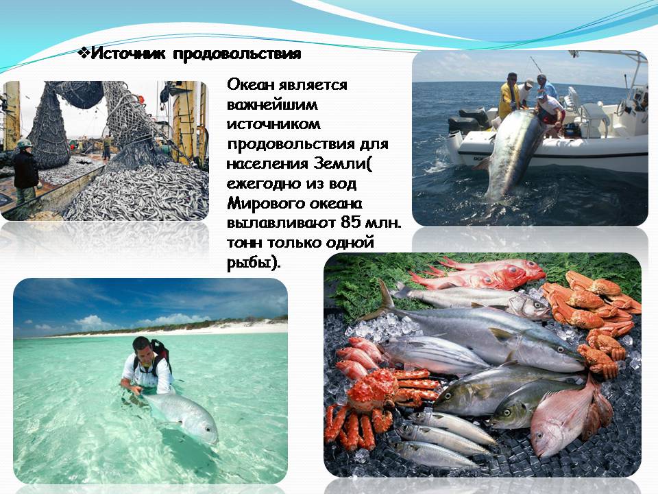 Презентація на тему «Влияние человека на загрязнение мирового океана» - Слайд #6 Презентація на тему «Влияние человека на загрязнение мирового океана» - Слайд #6