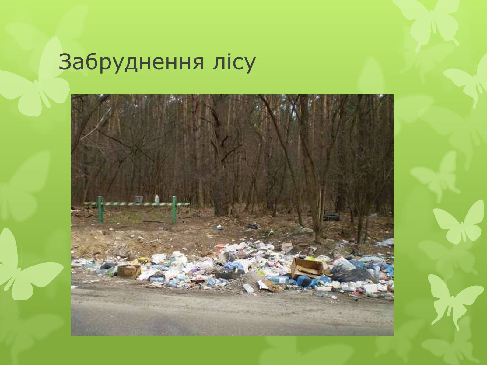 Презентація на тему «Забруднення навколишнього середовища» (варіант 4) - Слайд #12 Презентація на тему «Забруднення навколишнього середовища» (варіант 4) - Слайд #12