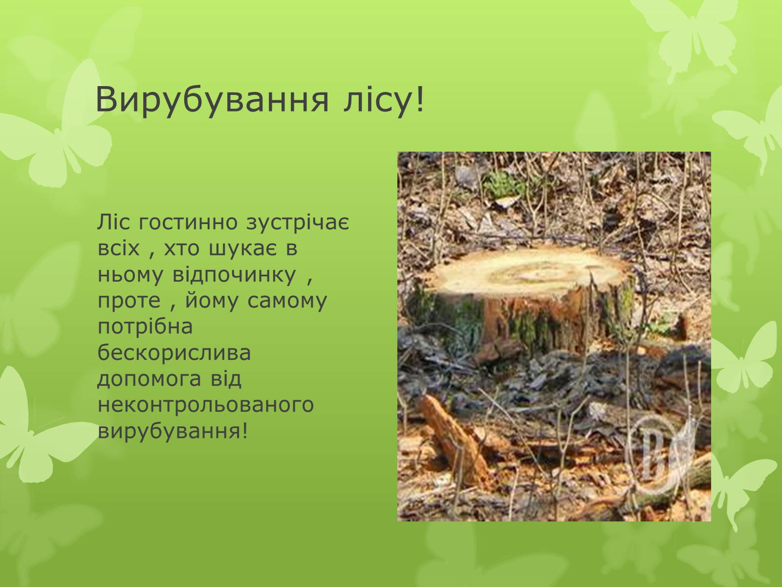 Презентація на тему «Забруднення навколишнього середовища» (варіант 4) - Слайд #14 Презентація на тему «Забруднення навколишнього середовища» (варіант 4) - Слайд #14