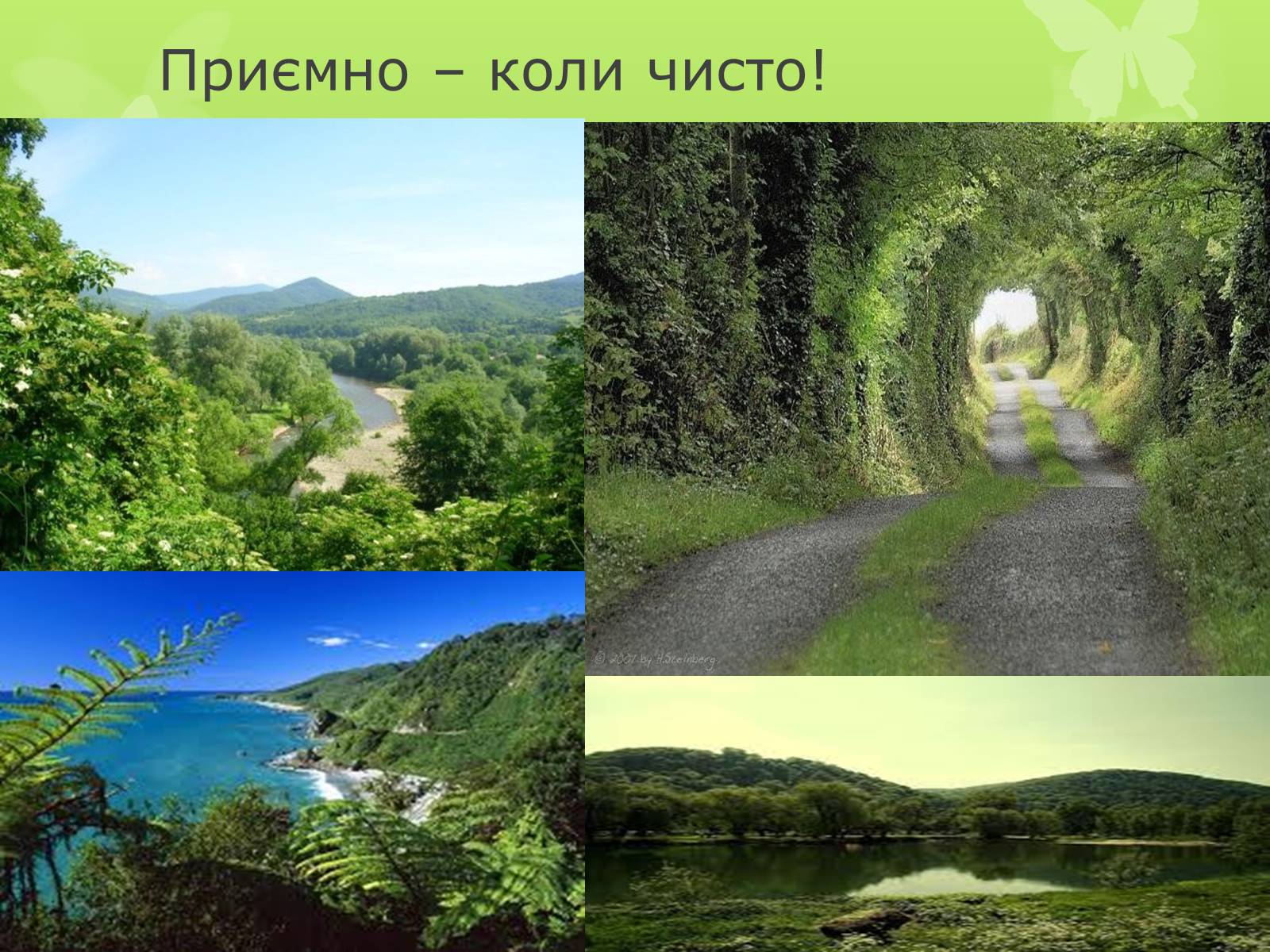 Презентація на тему «Забруднення навколишнього середовища» (варіант 4) - Слайд #25 Презентація на тему «Забруднення навколишнього середовища» (варіант 4) - Слайд #25