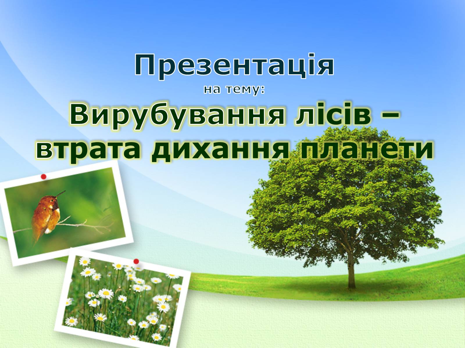 Презентація на тему «Вирубування лісів» - Слайд #1 Презентація на тему «Вирубування лісів» - Слайд #1