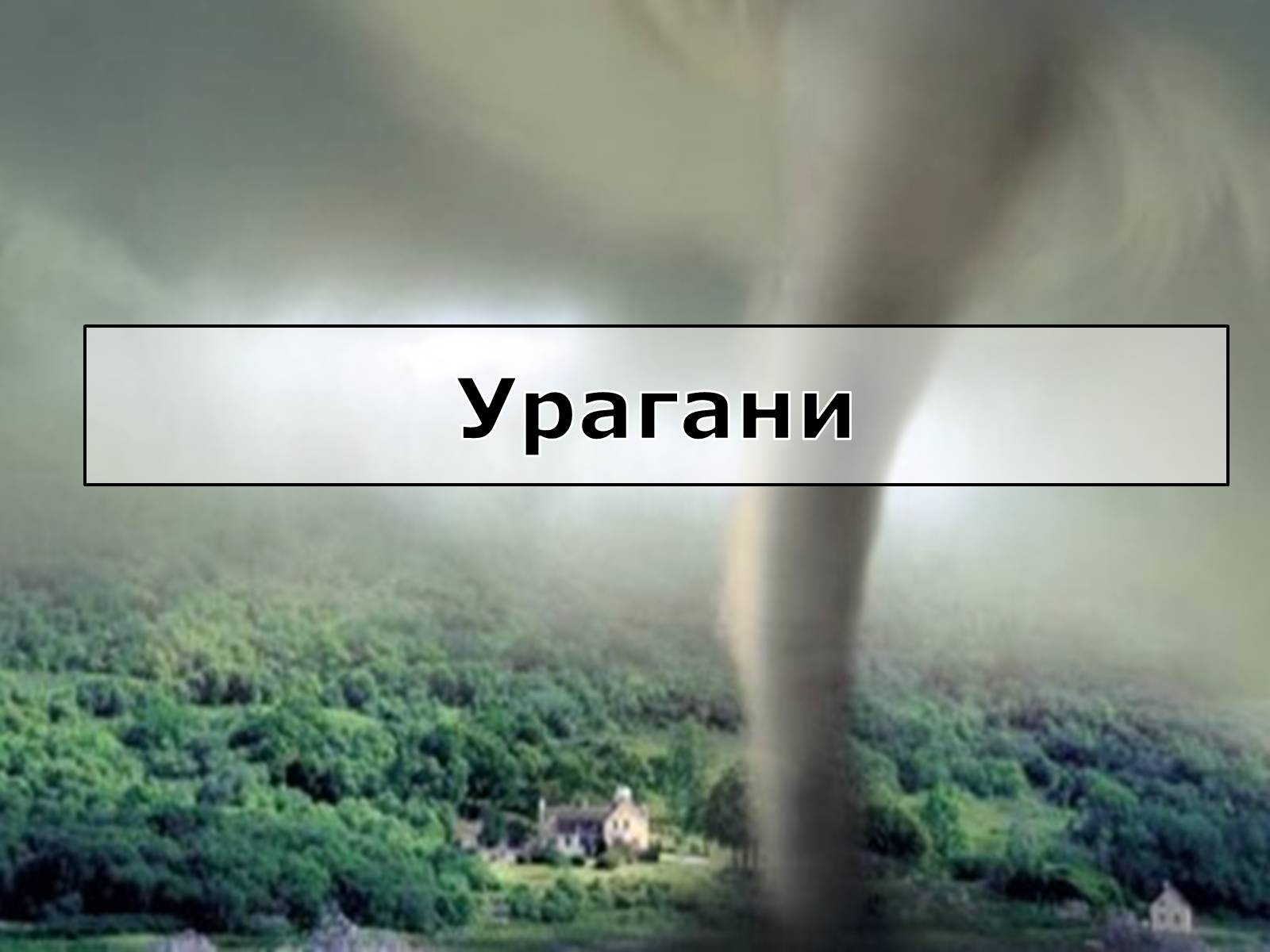 Презентація на тему «Вирубування лісів» - Слайд #10 Презентація на тему «Вирубування лісів» - Слайд #10