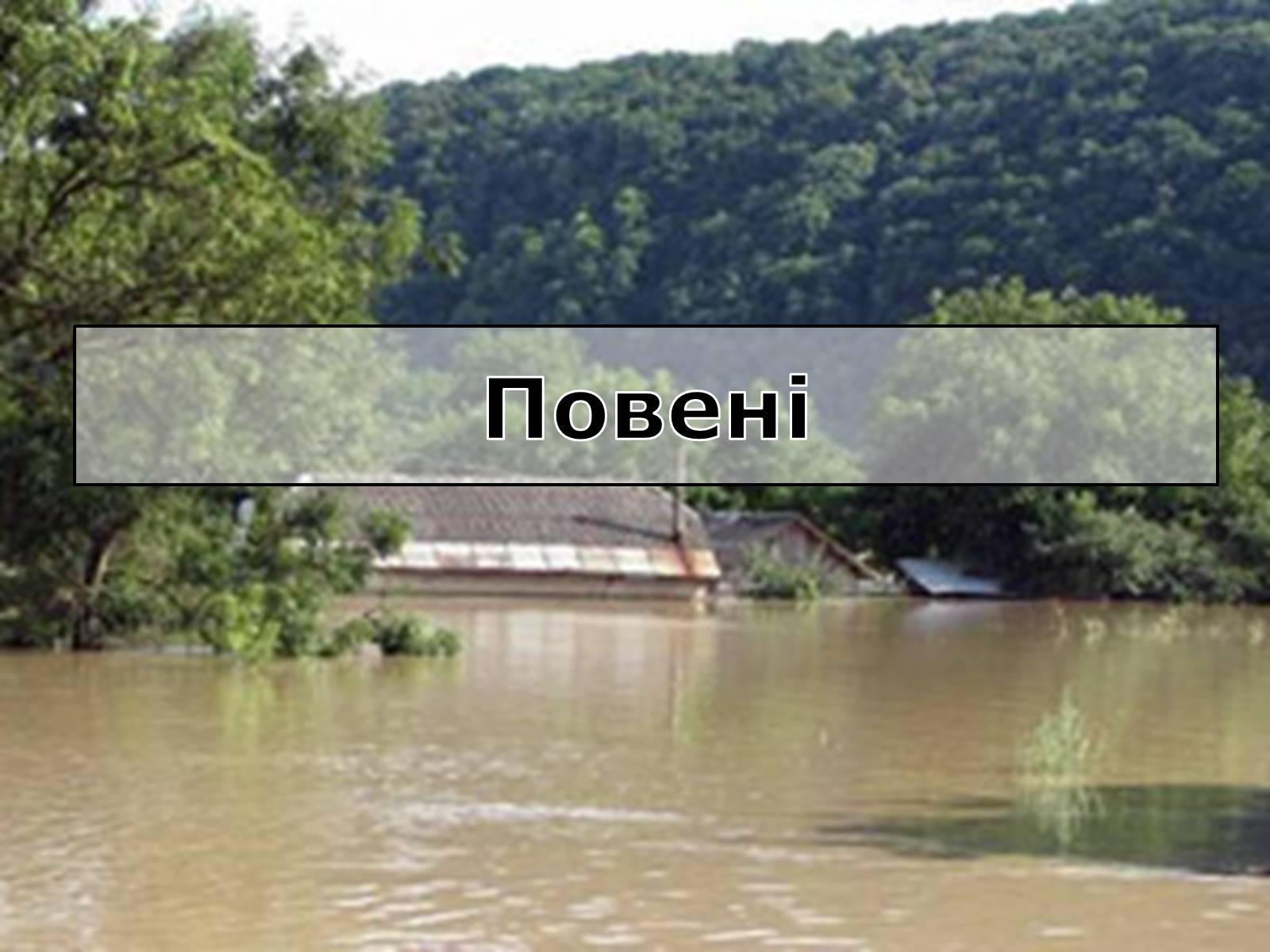 Презентація на тему «Вирубування лісів» - Слайд #11 Презентація на тему «Вирубування лісів» - Слайд #11