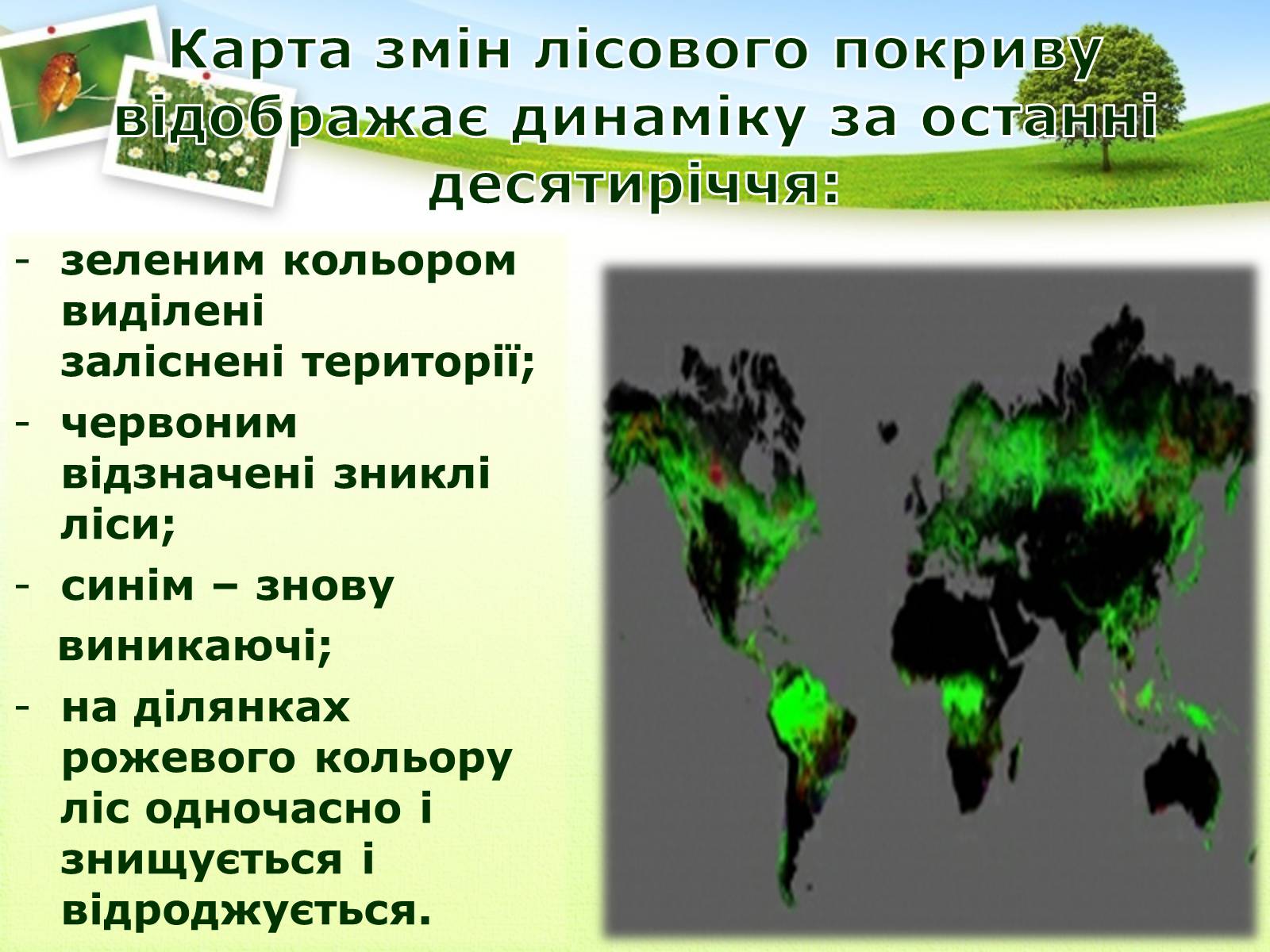 Презентація на тему «Вирубування лісів» - Слайд #15 Презентація на тему «Вирубування лісів» - Слайд #15